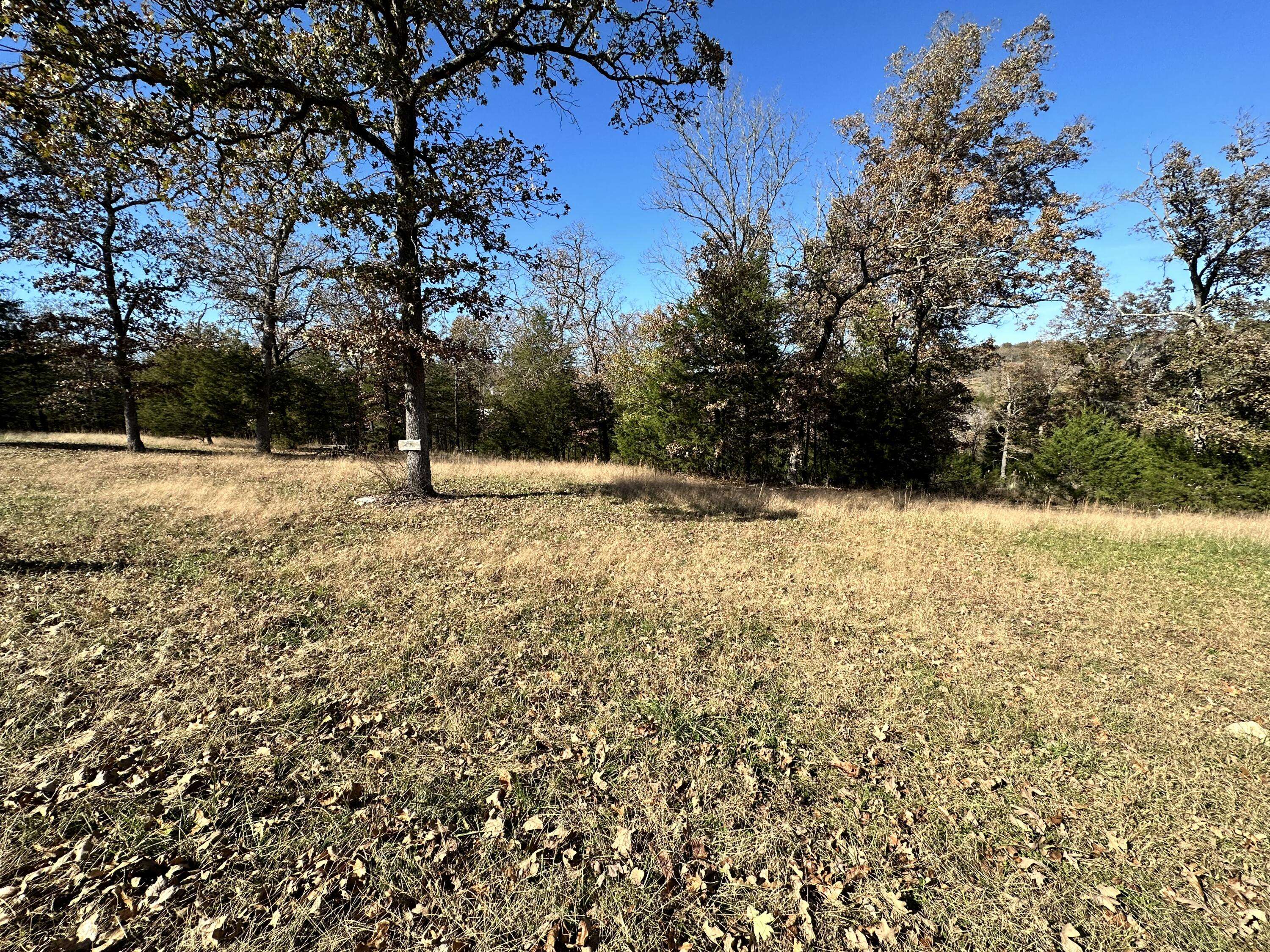 Saddlebrooke, MO 65630,Lots 36 37 Appaloosa Trail