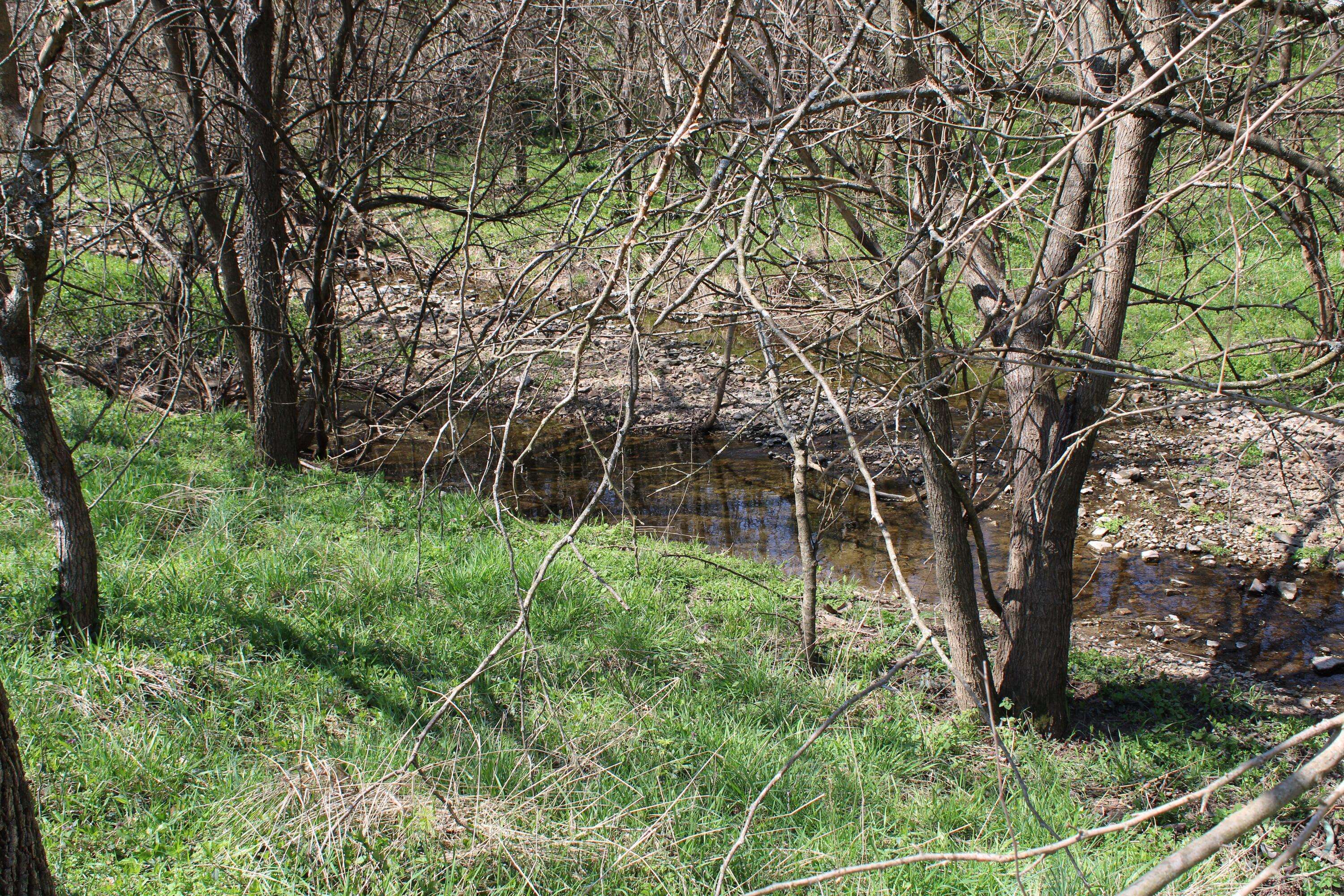 Pleasant Hope, MO 65725,000 North Main Street