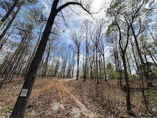 Birch Tree, MO 65438,000 County Road 486