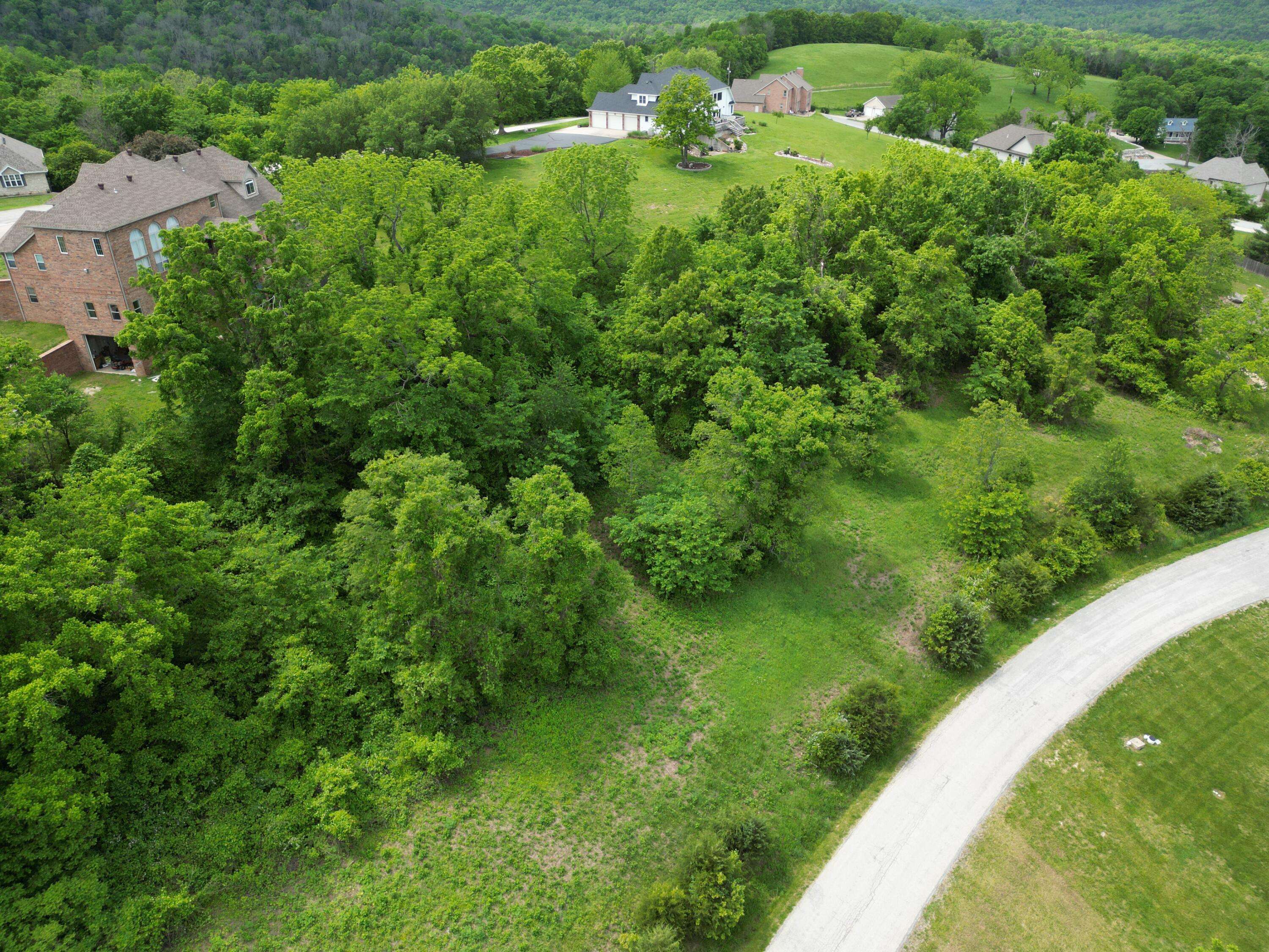 Walnut Shade, MO 65771,Tbd Jacks Hollow Road