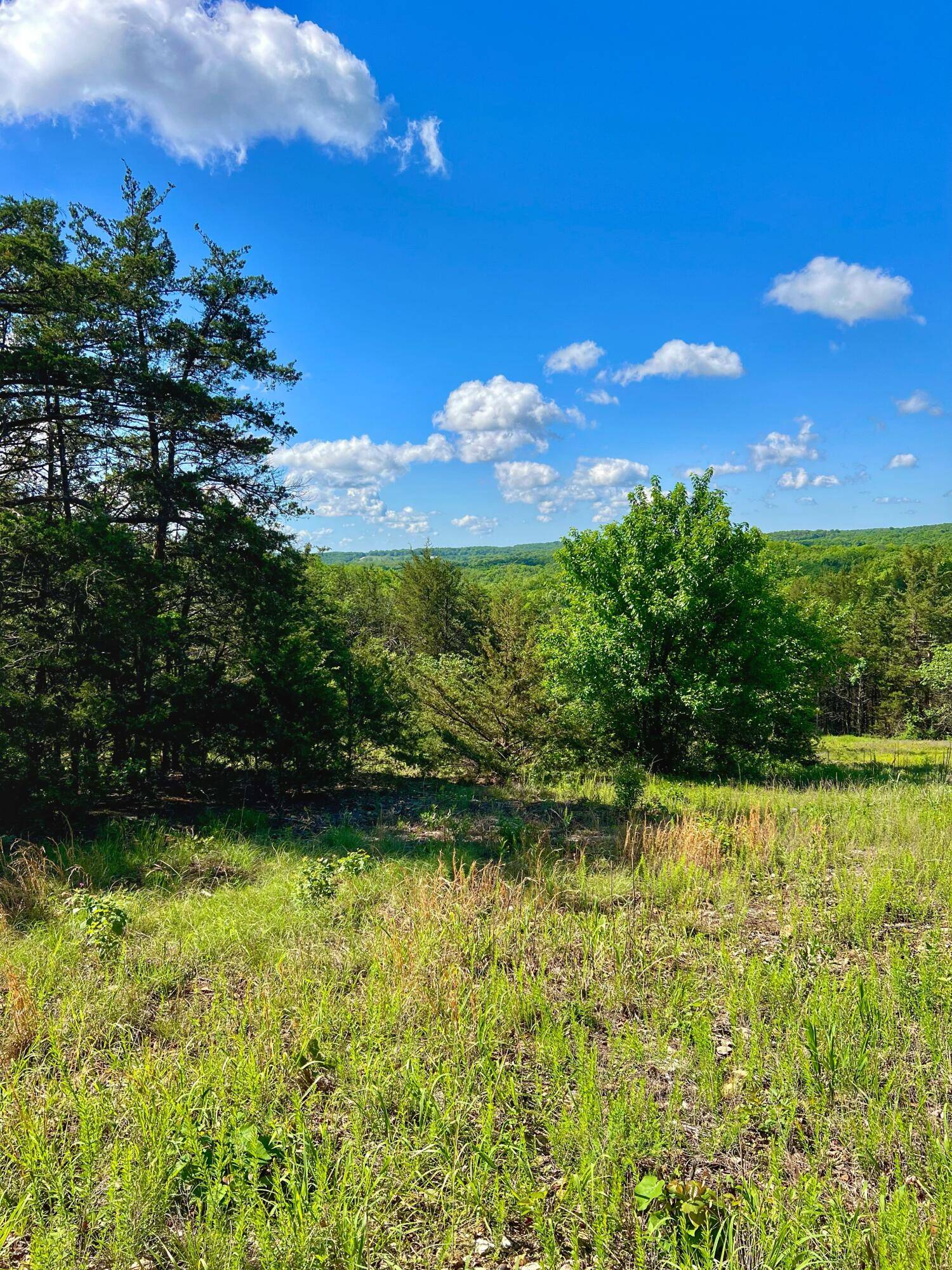 Wheatland, MO 65779,000 County Rd 190