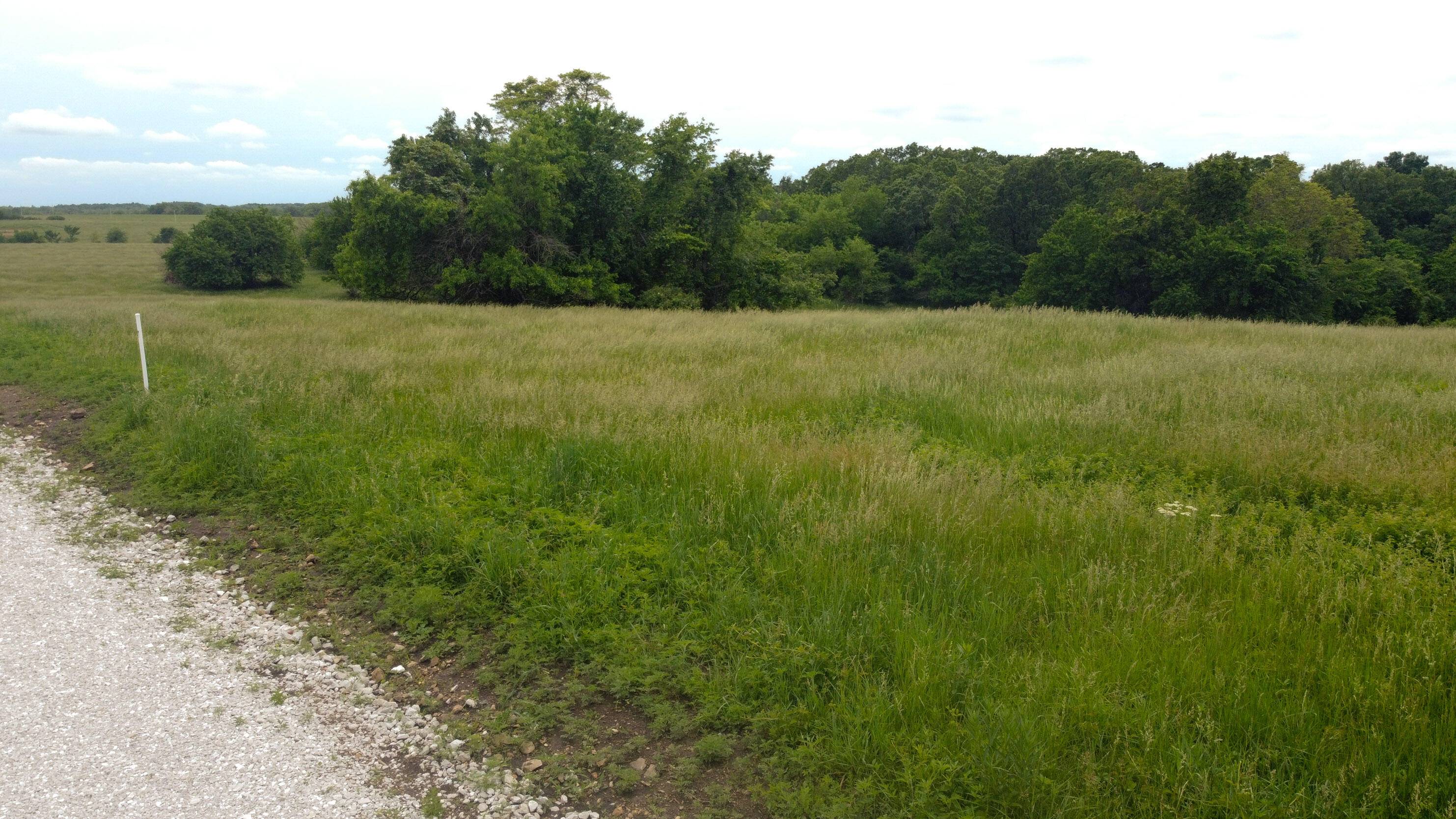 Bolivar, MO 65613,000 East 480th Road #Lot 7