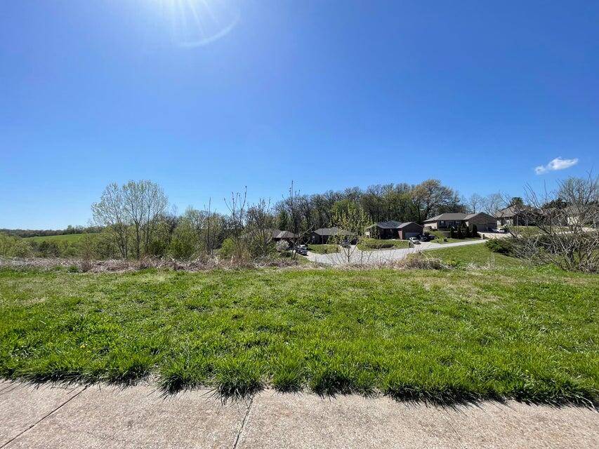 Nixa, MO 65714,Lot112-113 South Black Sands Avenue