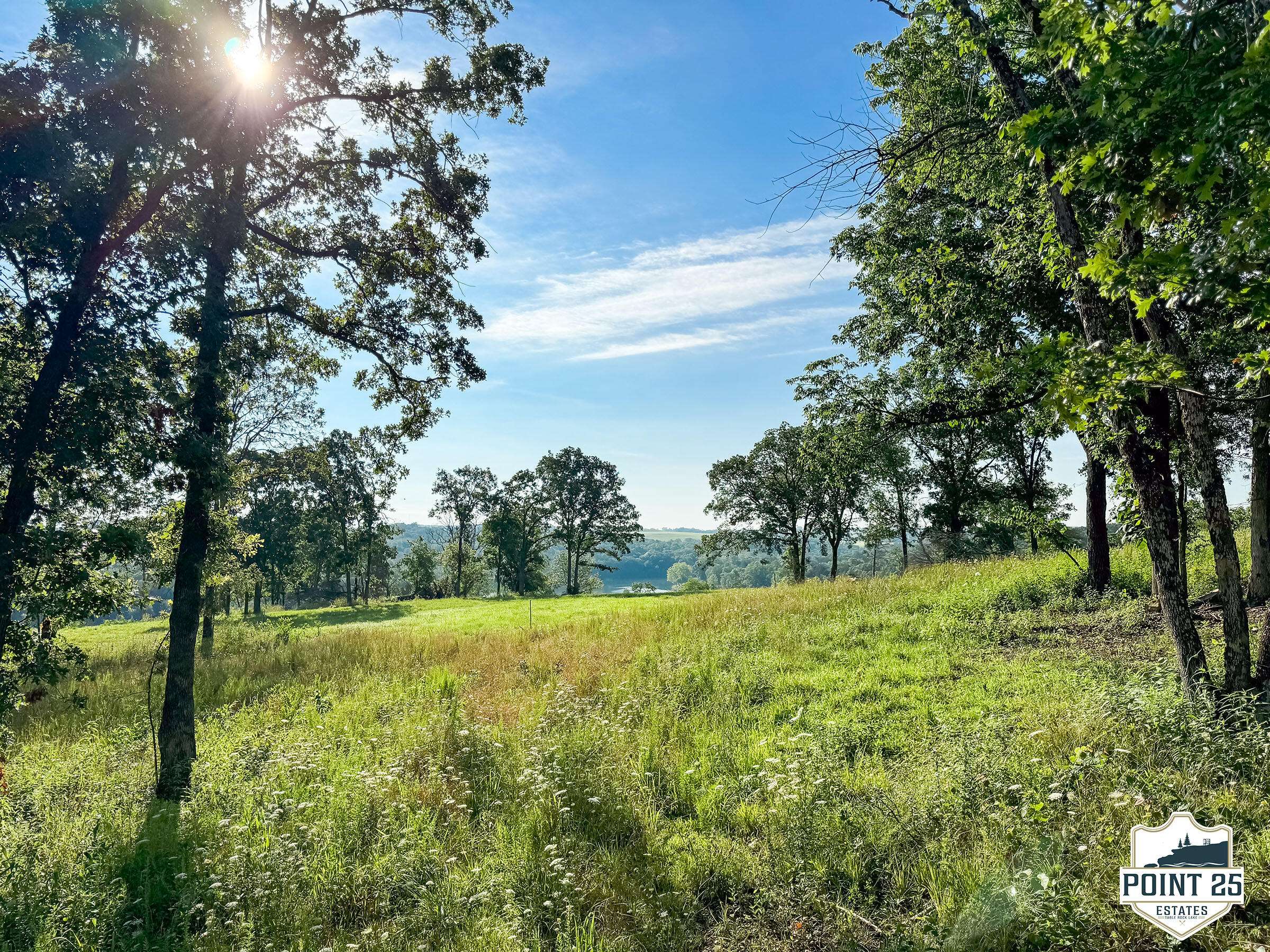 Eagle Rock, MO 65641,Lot 40 Boulder Rdg