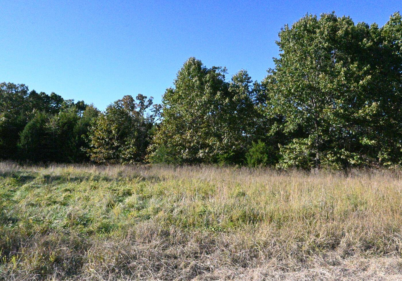 Shell Knob, MO 65747,Lot 1 Stoney Point Circle