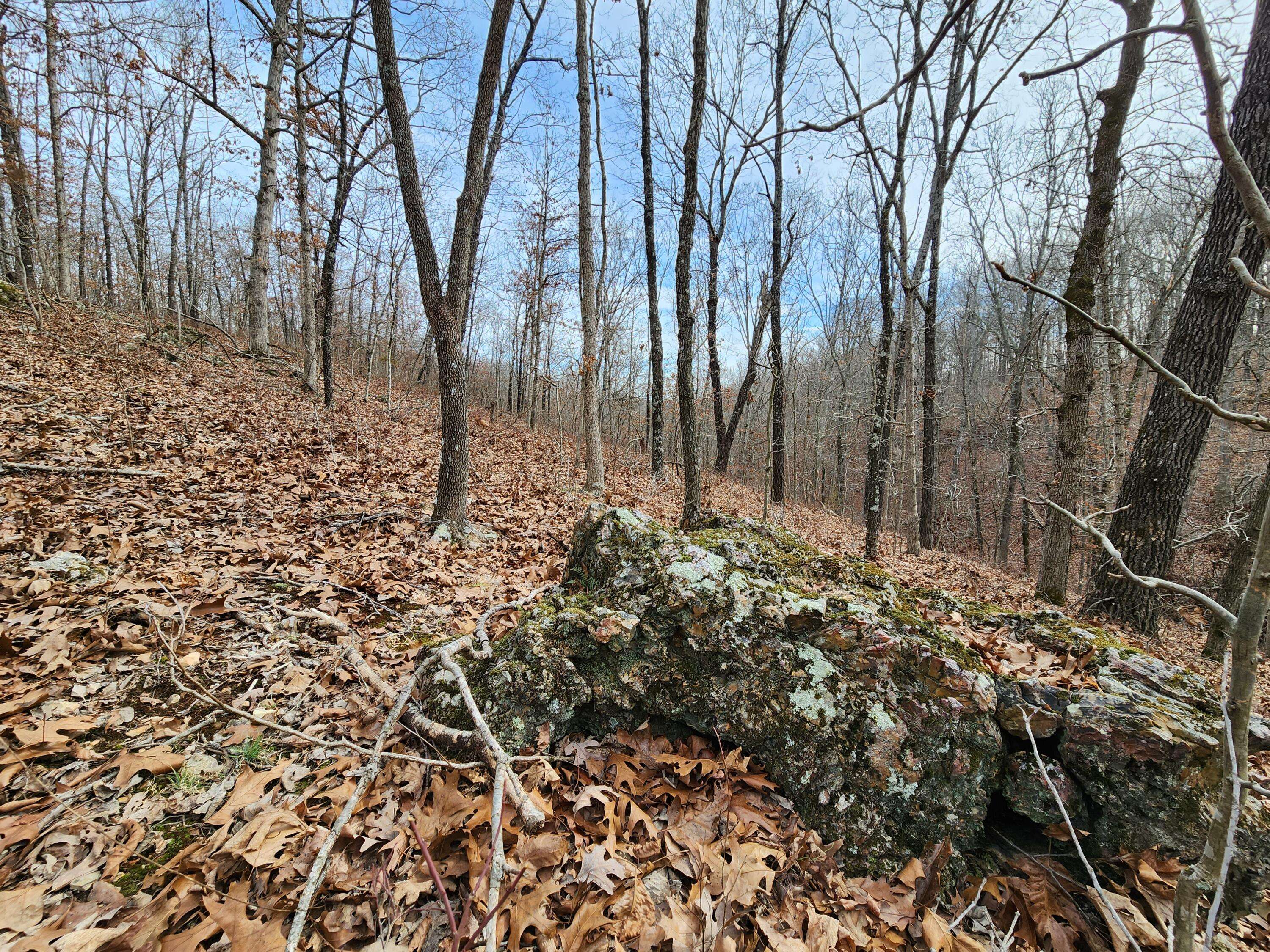 Highlandville, MO 65669,Lot 21 Buckskin Ridge