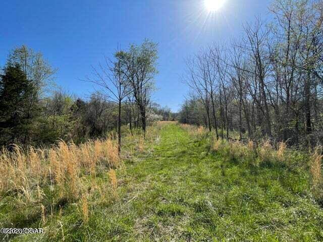 Goodman, MO 64843,000 Adams Road