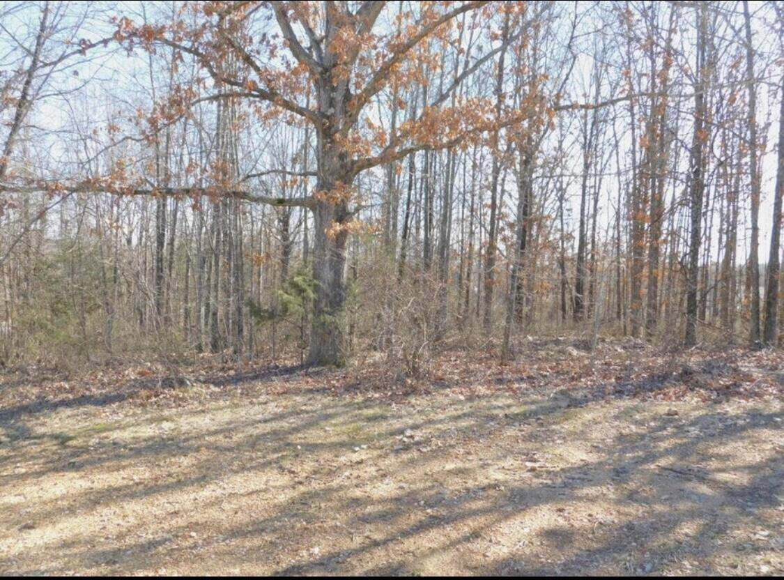 West Plains, MO 65775,Tbd Big Deer Run  #Lot 9