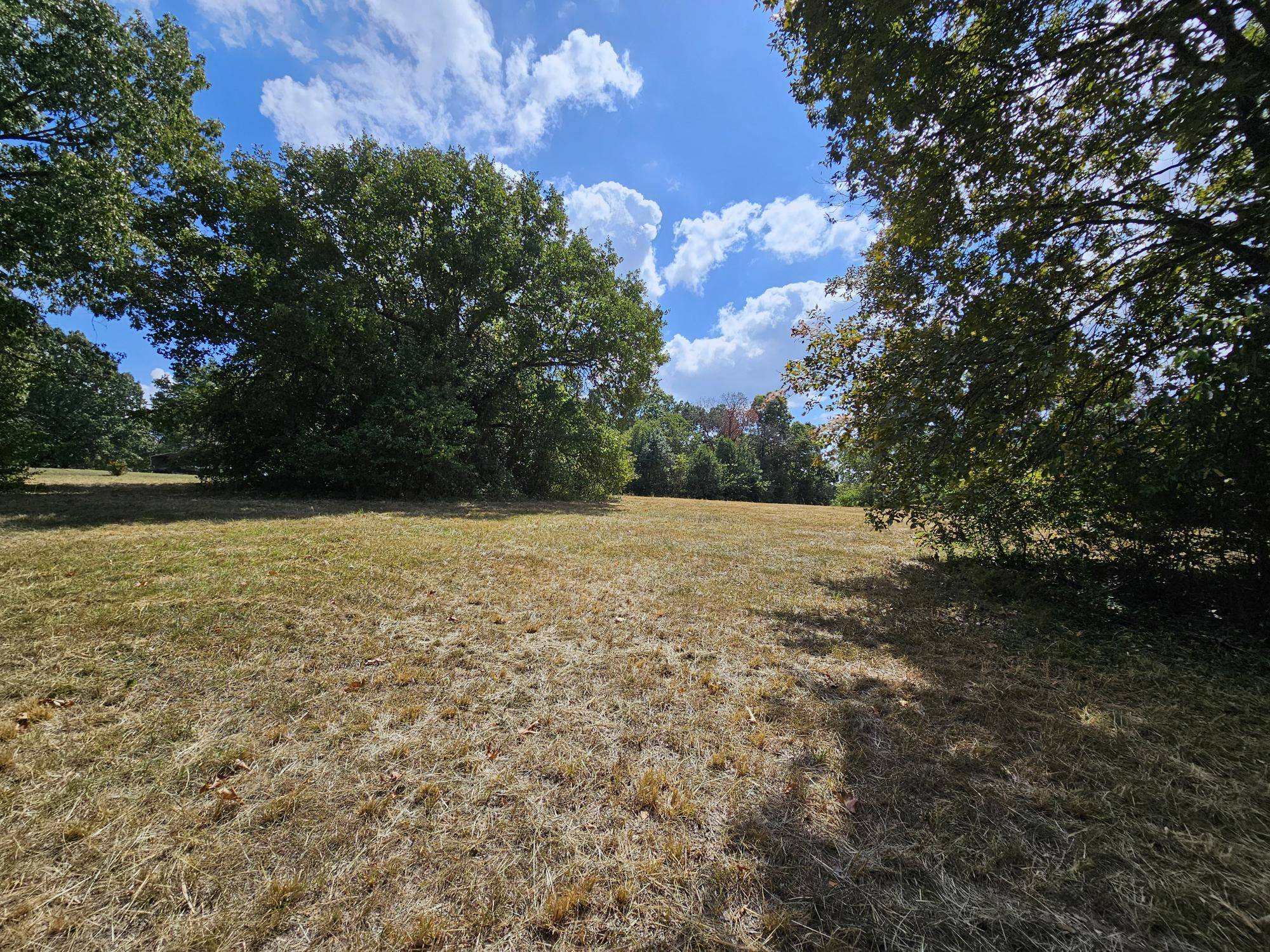 Anderson, MO 64831,5 Acres Candlestick Lane