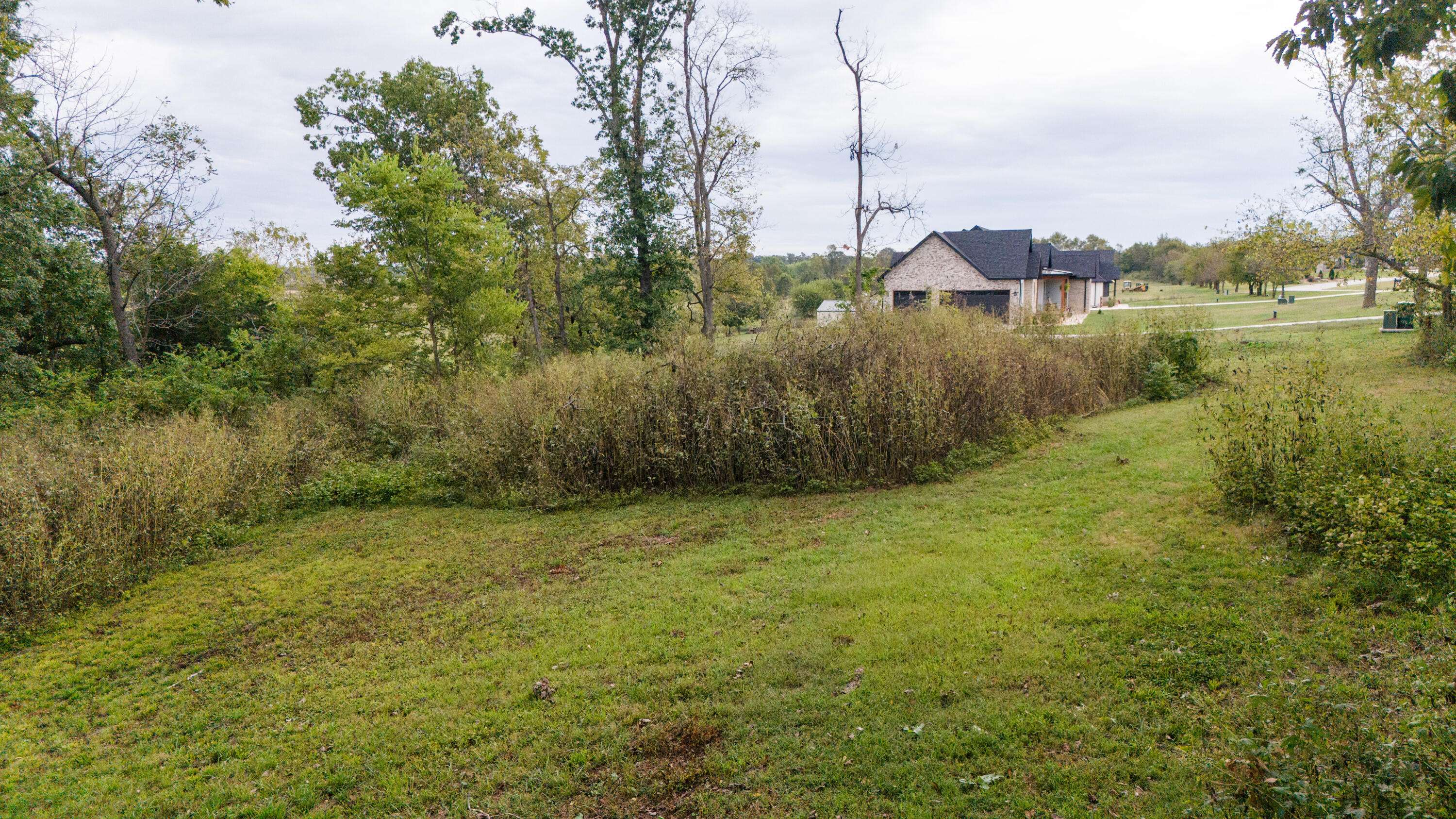 Ozark, MO 65721,Lot 1a&1b Kings Court