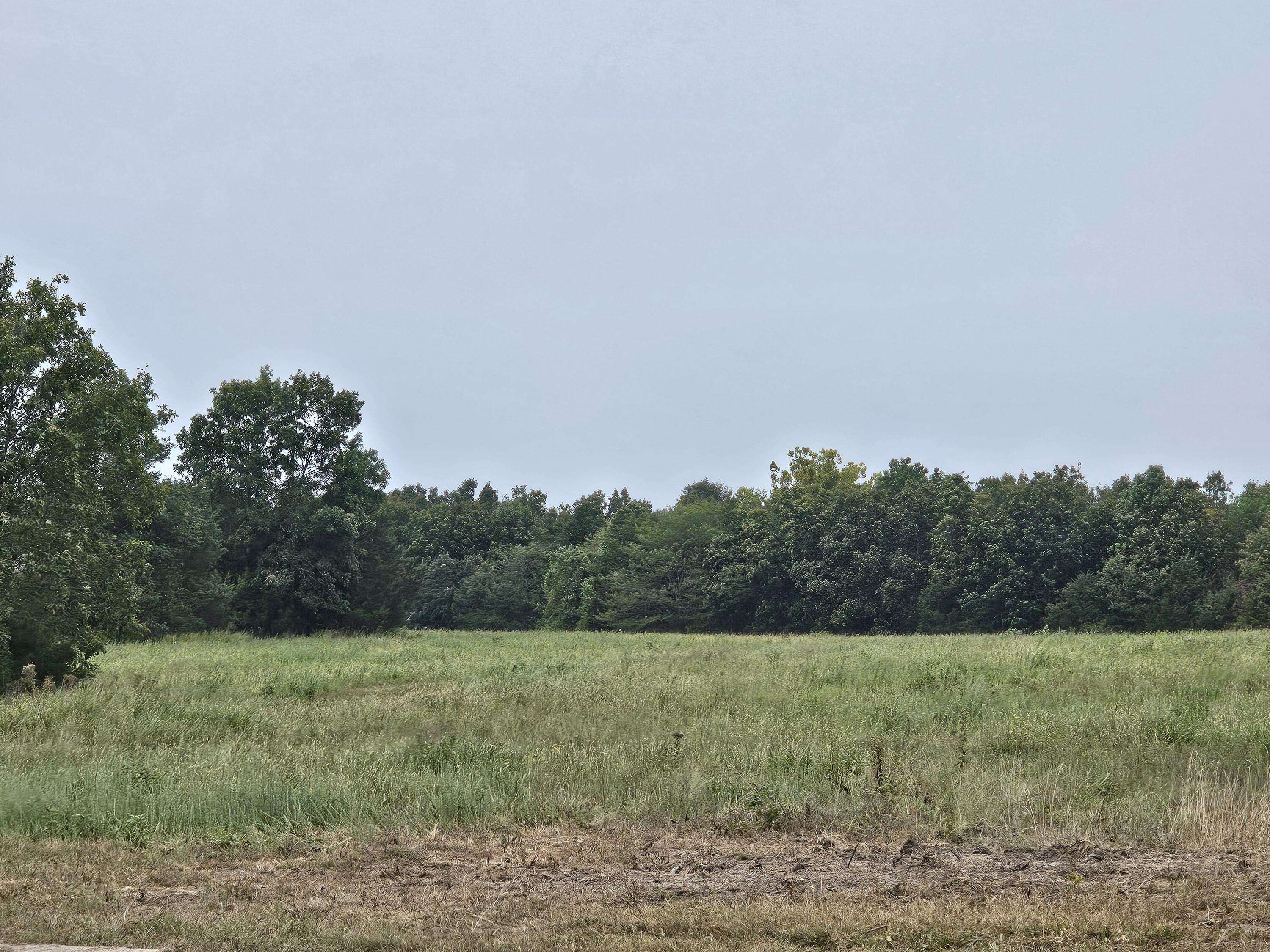 Bolivar, MO 65613,Lot 2 East 420th RoadEast  #Lot 2