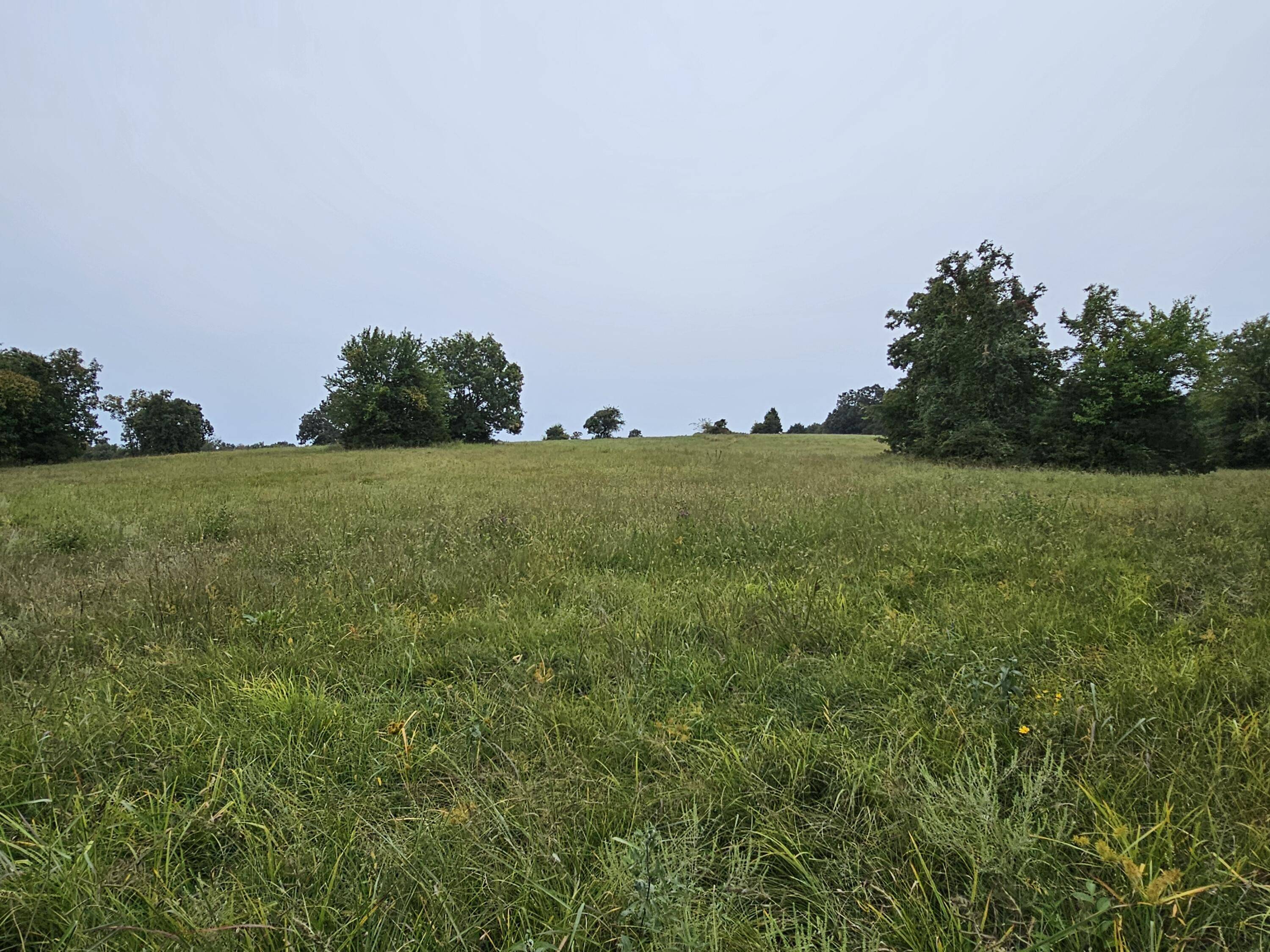 Bolivar, MO 65613,Lot 11 East 420th Road #Lot 11