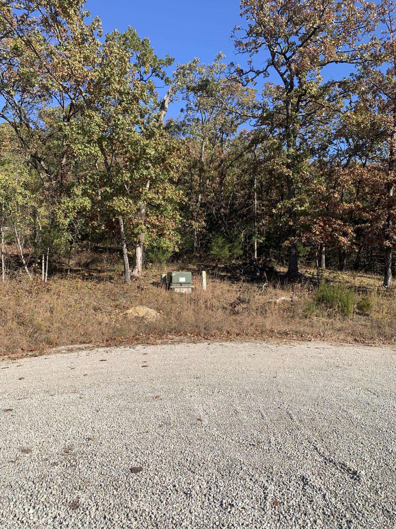 Merriam Woods, MO 65740,Lot 45 Azalea Road