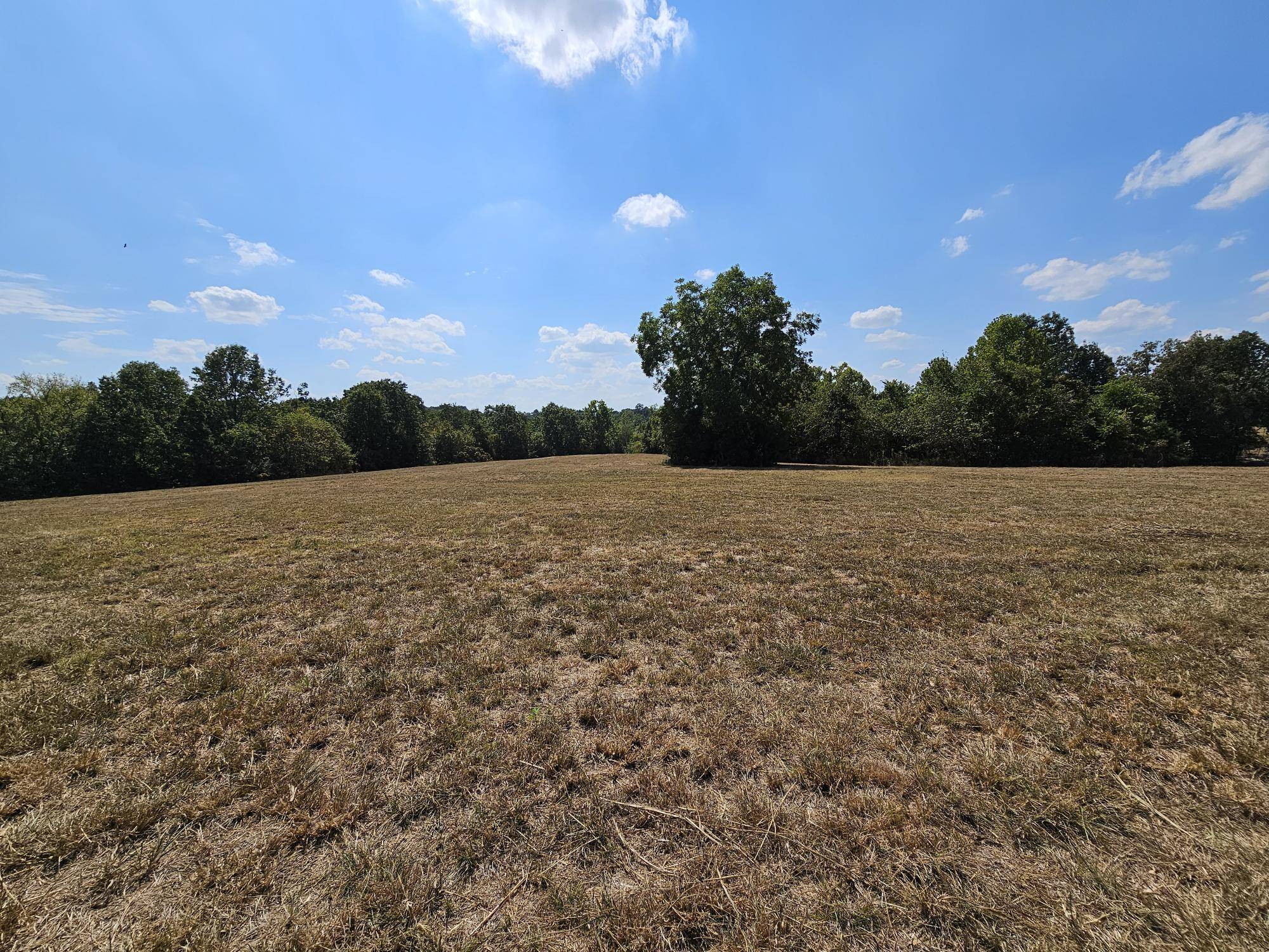 Anderson, MO 64831,12 Ac Monroe Road