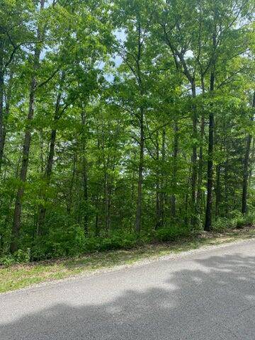 Branson West, MO 65737,Lot 14 Silvercliff Way