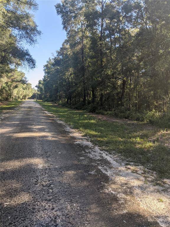 Webster, FL 33597,6332 NILE AVENUE