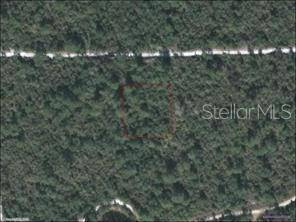 De Leon Springs, FL 32130,NO NAME