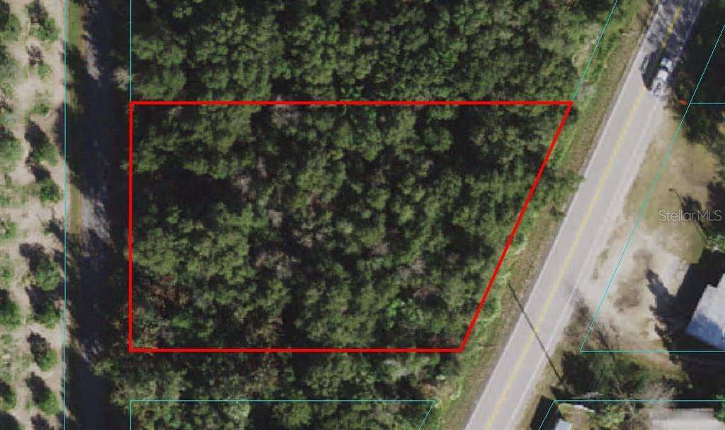 Weirsdale, FL 32195,0000 S HIGHWAY 25