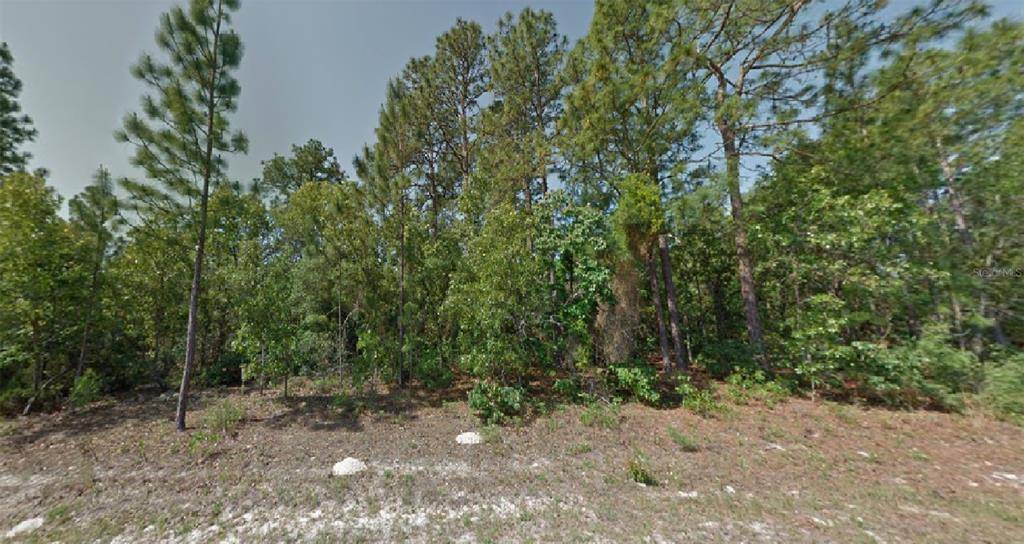 Citrus Springs, FL 34433,8872 N VIENNA DRIVE