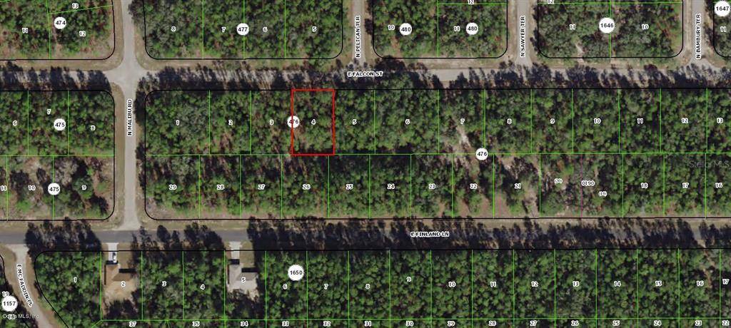 Citrus Springs, FL 34434,206 E Falcon STREET