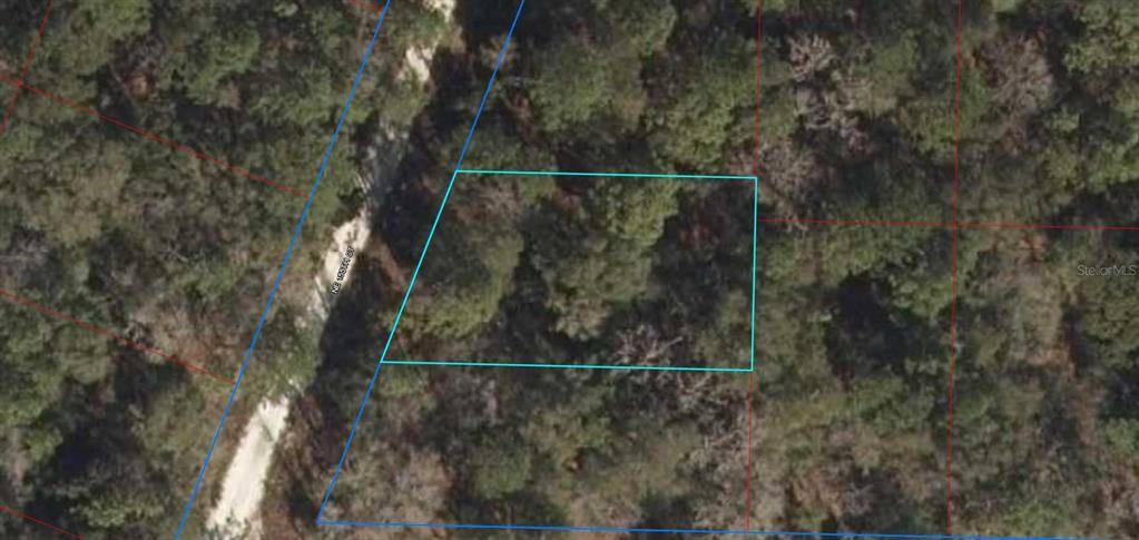 Williston, FL 32696,0 NE 155 COURT
