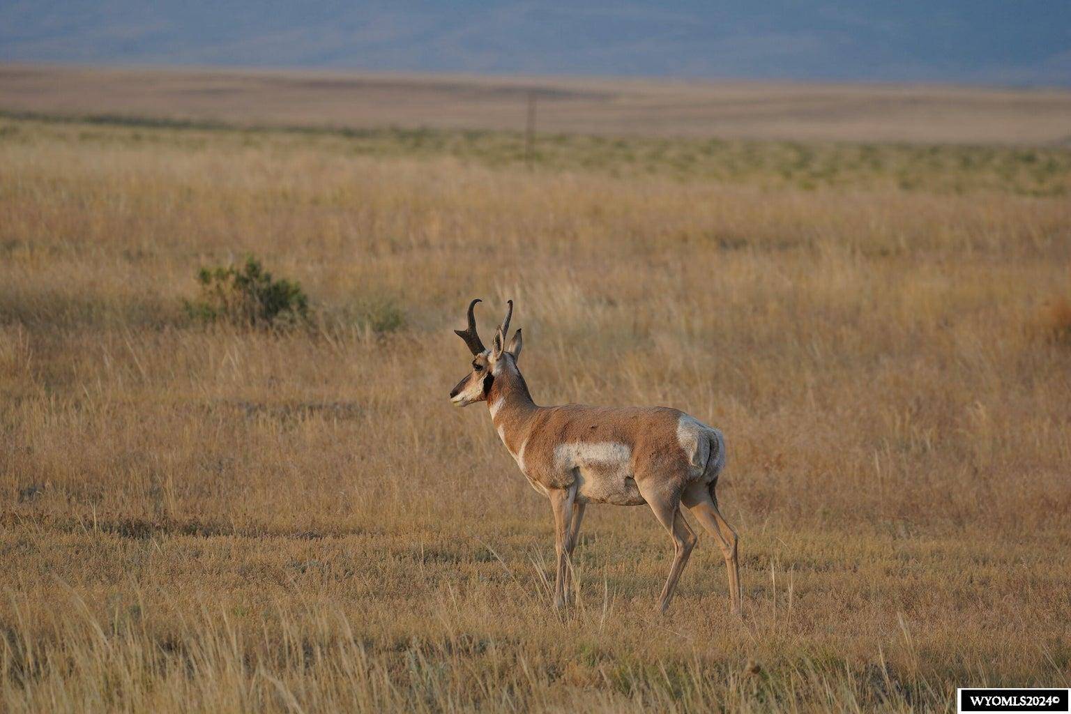 Casper, WY 82601,E Ormsby Road