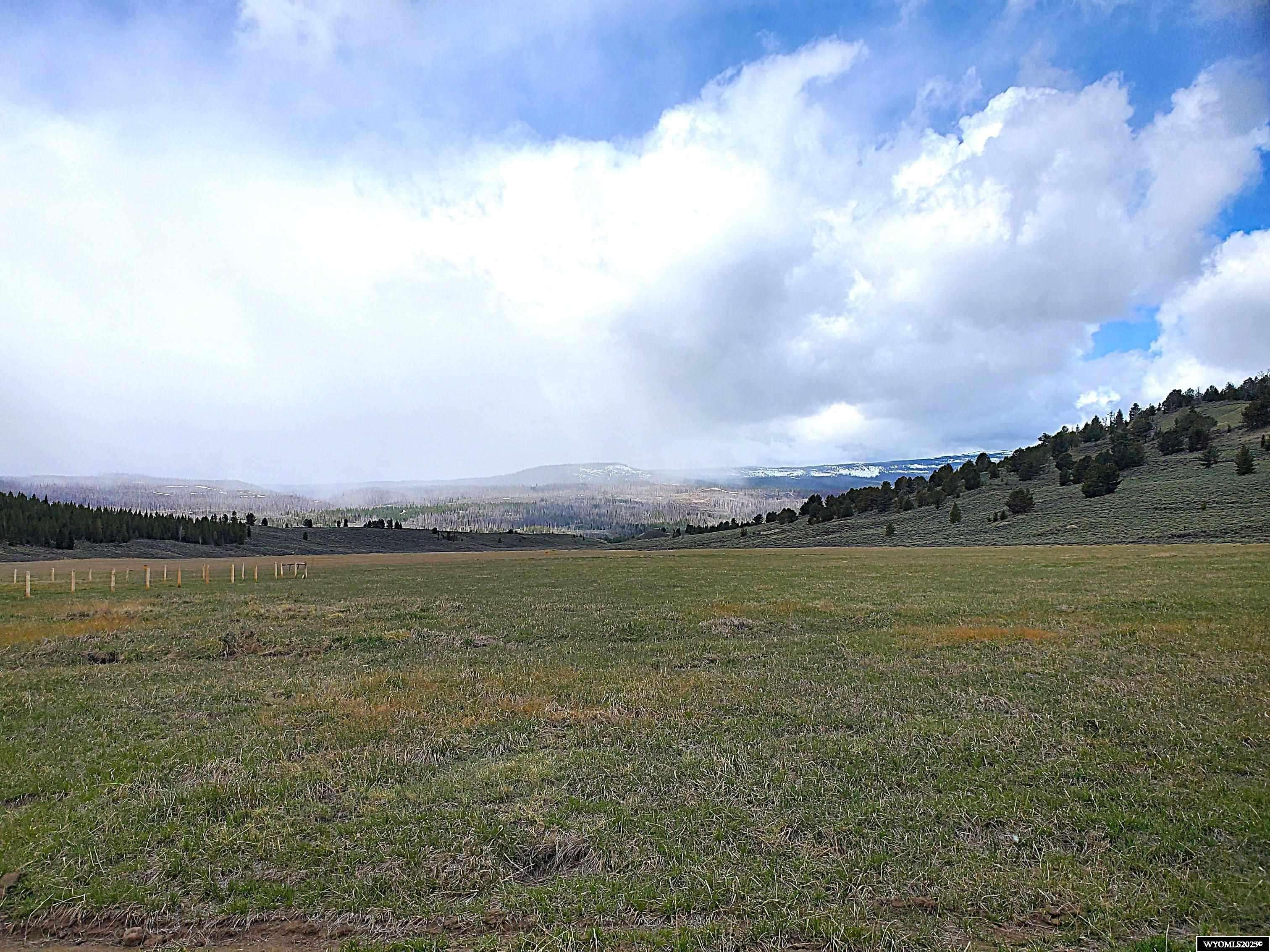 Dubois, WY 82513,Lot 51 Long Crk Berry Court