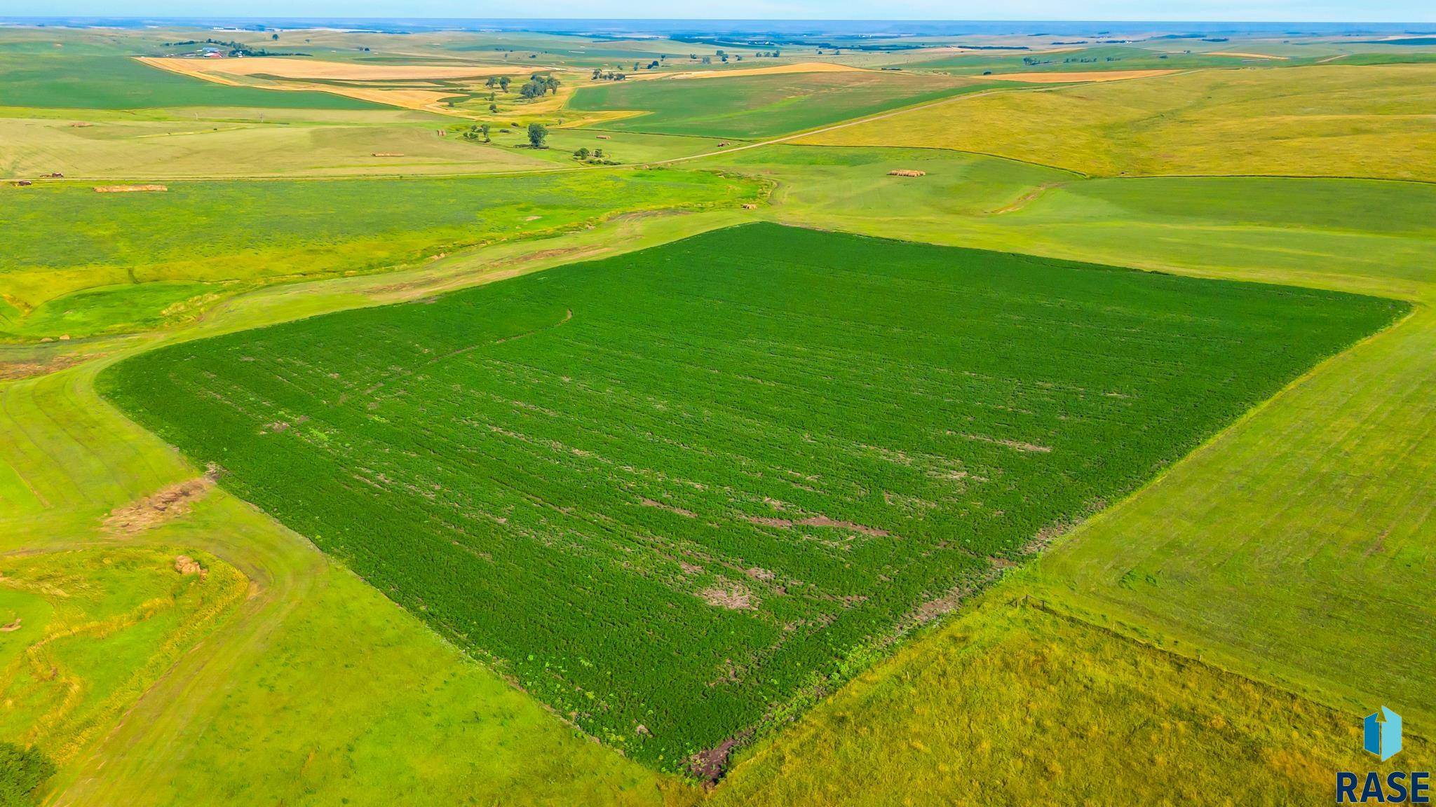 Gregory, SD 57533,TBD 339th Ave