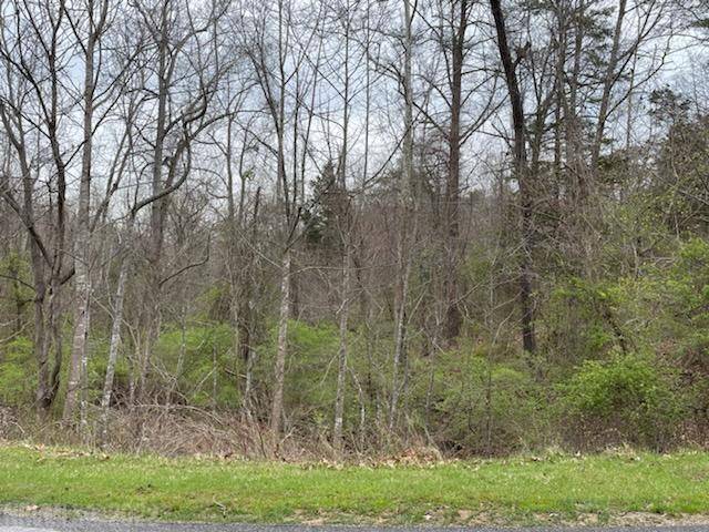 Blacksburg, VA 24060,TBD Lot 13 Forest View LN