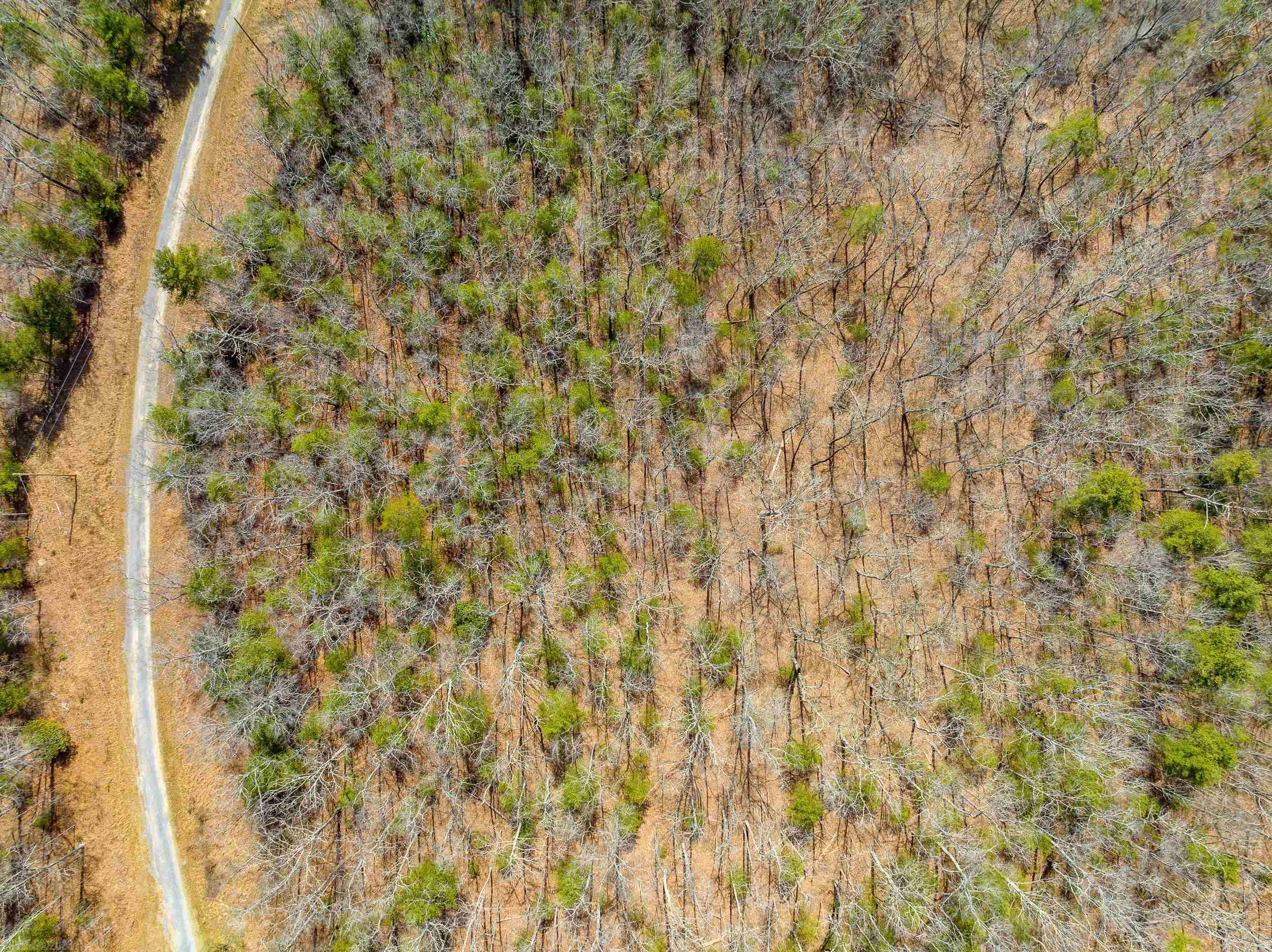 Bland, VA 24315,TBD LOT6 N Sunset LN