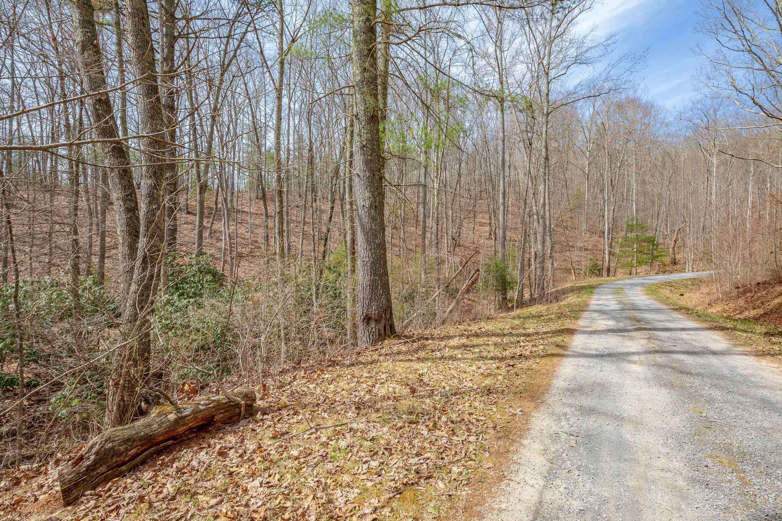 Bland, VA 24315,TBDLOT9 N Sunset LN