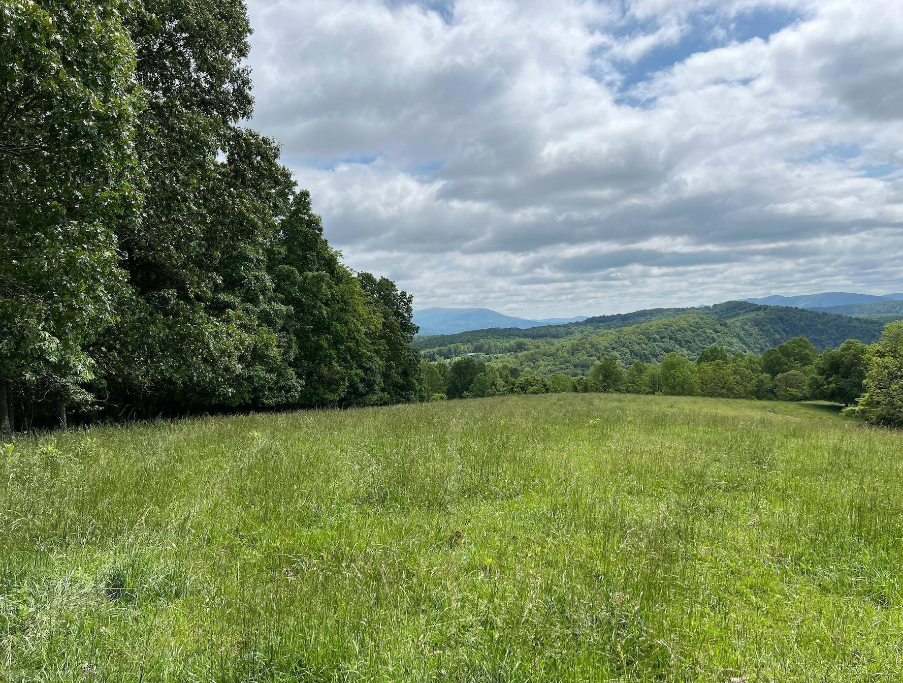 Pearisburg, VA 24134,TBD Mountain Fern LN