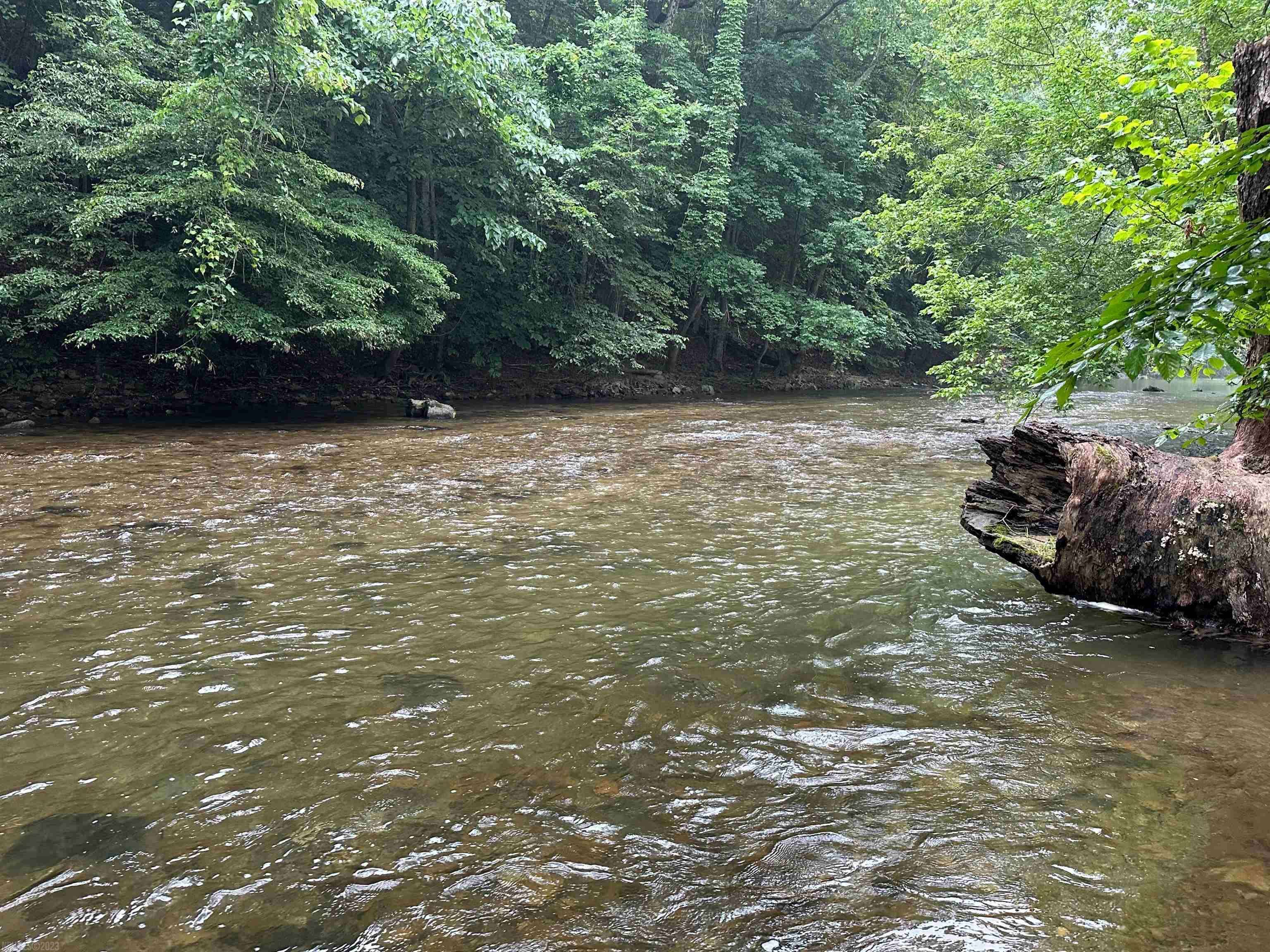 Shawsville, VA 24162,1176 Flick DR