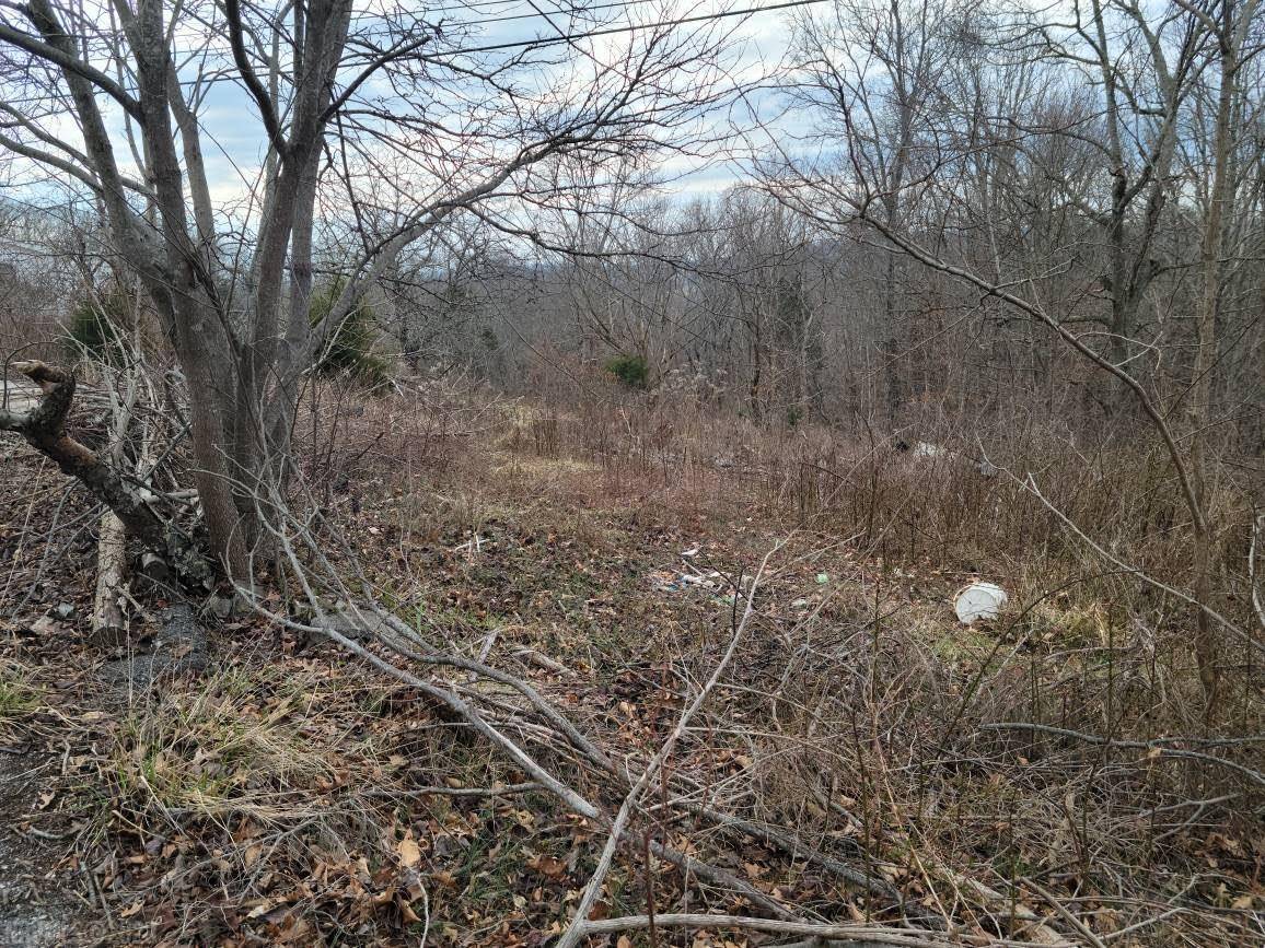 Christiansburg, VA 24073,2603 PEPPERS FRY RD