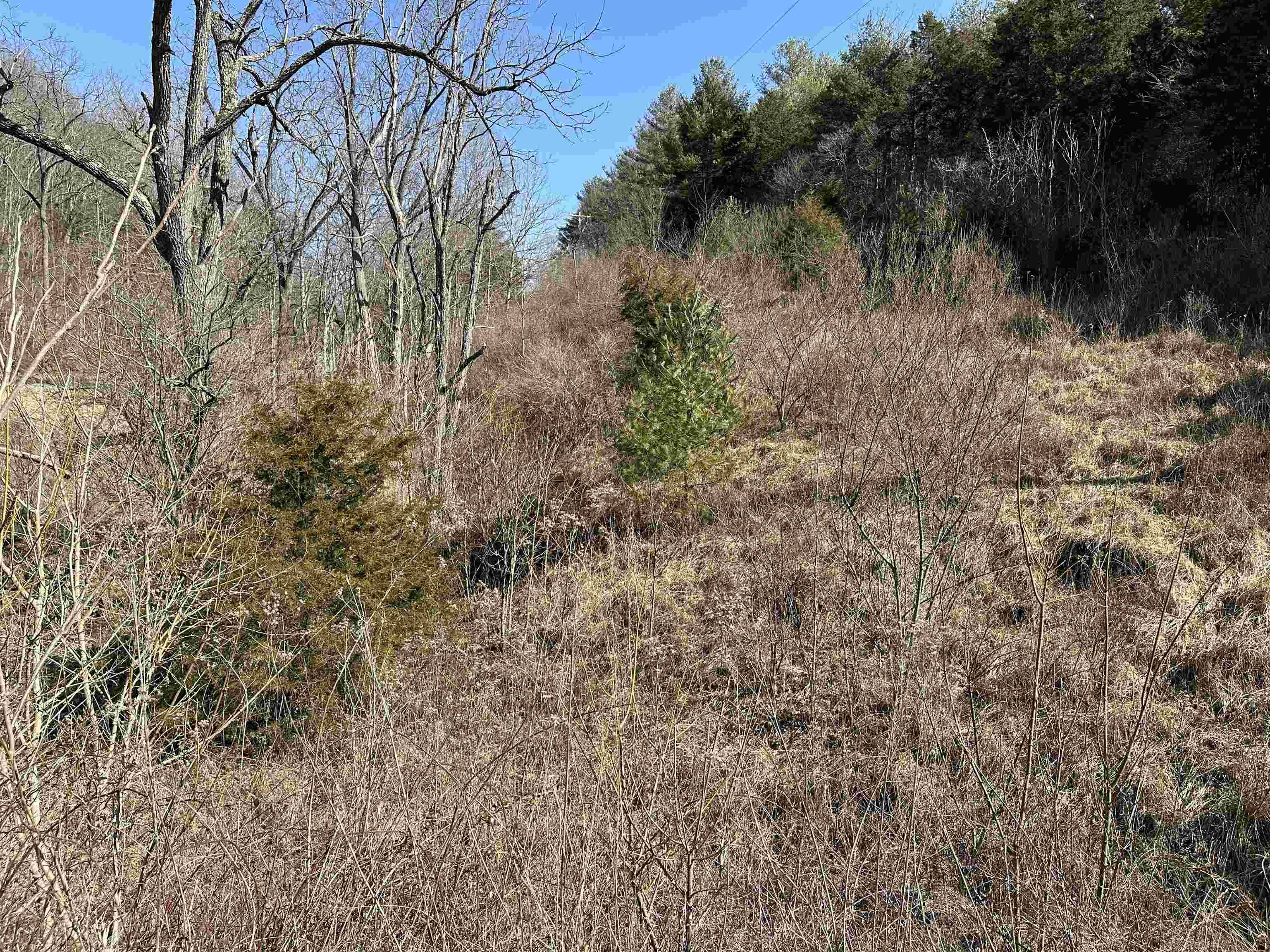 Pearisburg, VA 24134,TBD WALKERS CREEK VLY RD