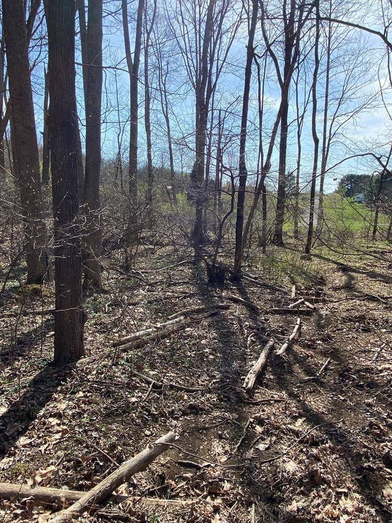 Max Meadows, VA 24360,tbd Cartersville HTS