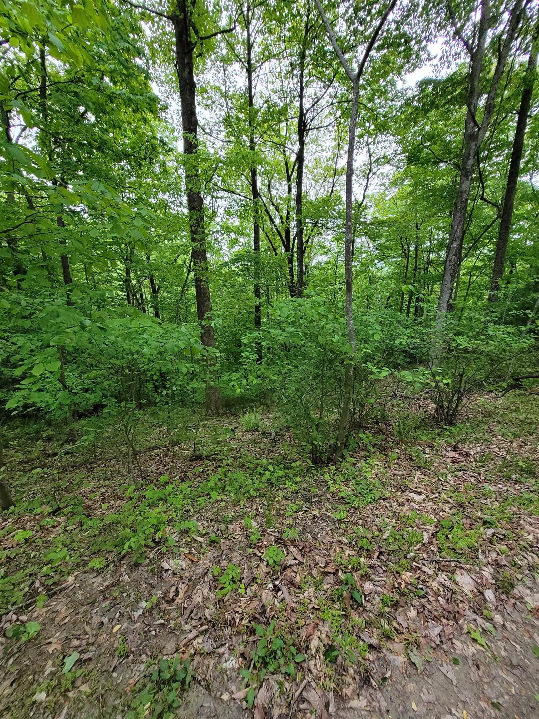 Fancy Gap, VA 24328,TBD Shawnee TRL