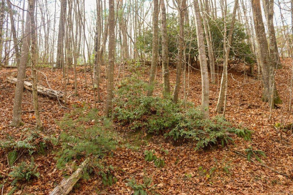 Fancy Gap, VA 24328,Lot 45 Southern View TRL
