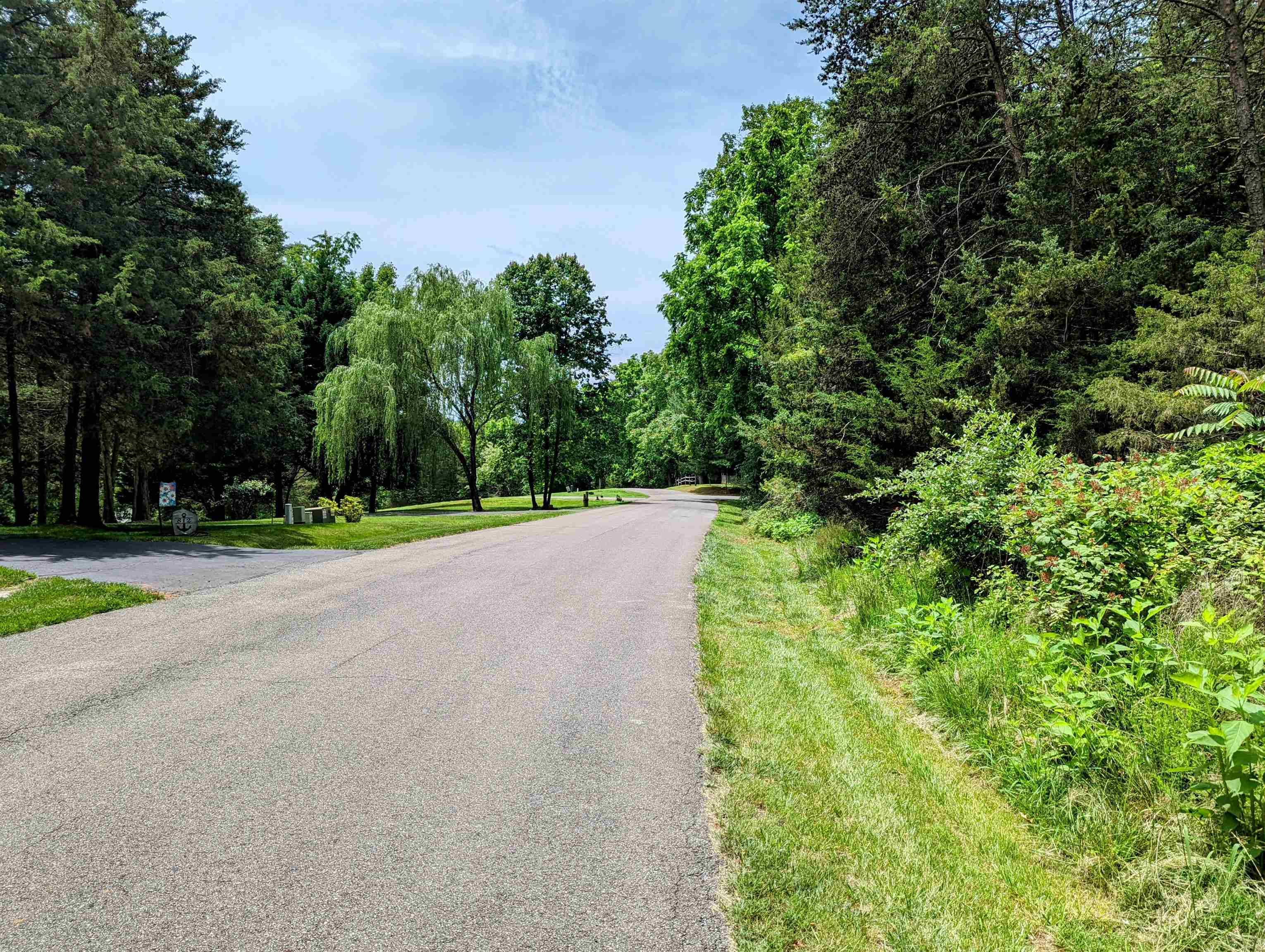 Moneta, VA 24121,TBD Forest Lawn DR