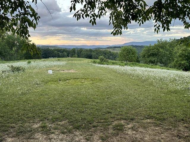 Pearisburg, VA 24134,TBD Springdale RD
