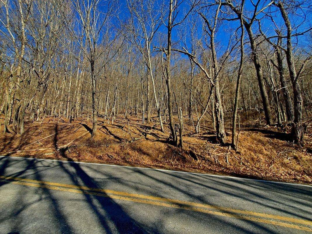 Newport, VA 24128,TBD Mountain Lake RD
