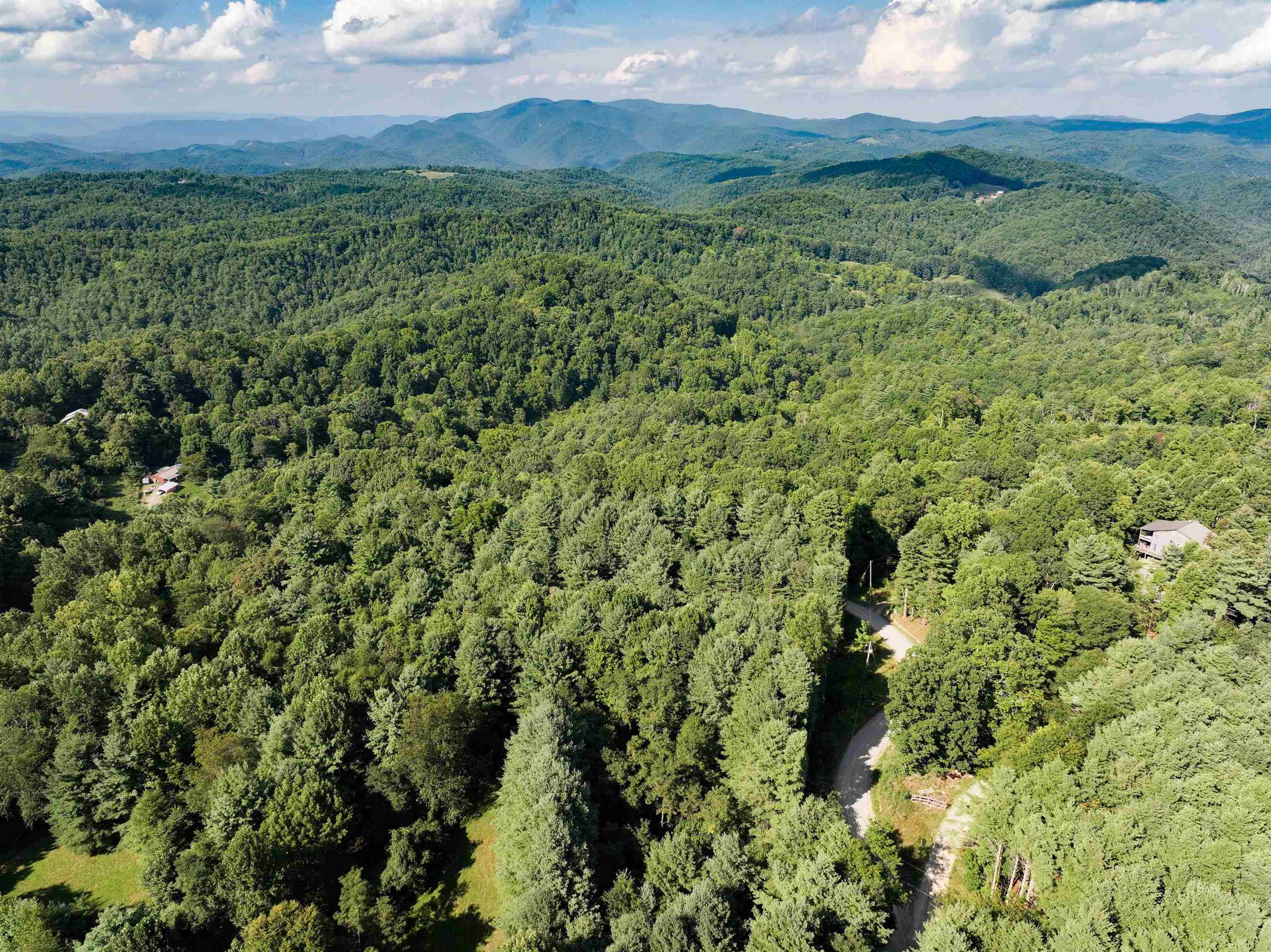 Check, VA 24072,TBD Griffith Creek Road NE