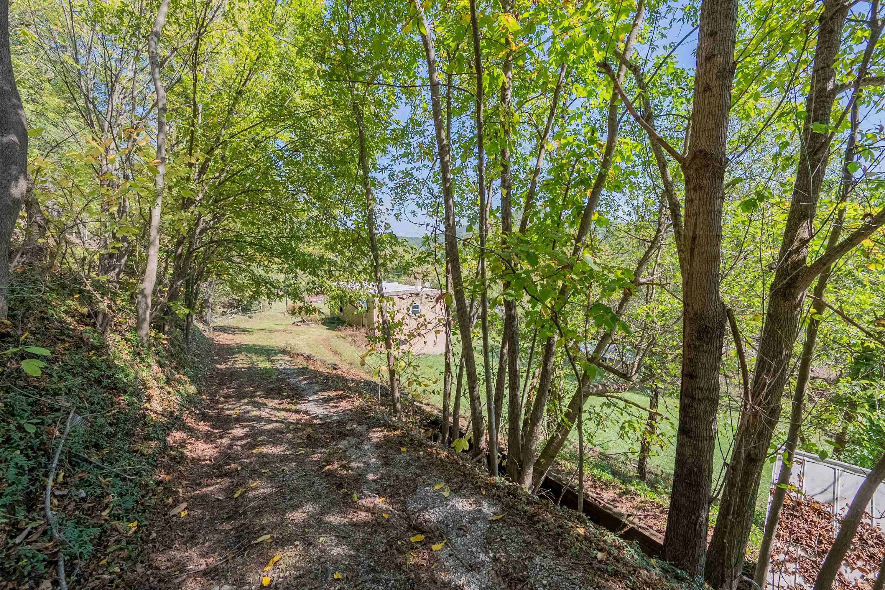 Parrott, VA 24132,8696 Parrott River RD