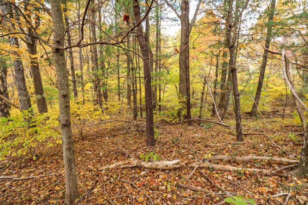 Fancy Gap, VA 24328,Lot 109 Old Hollow TRL
