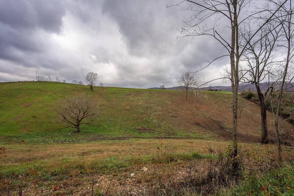 Pearisburg, VA 24134,Lot 1 Curve RD