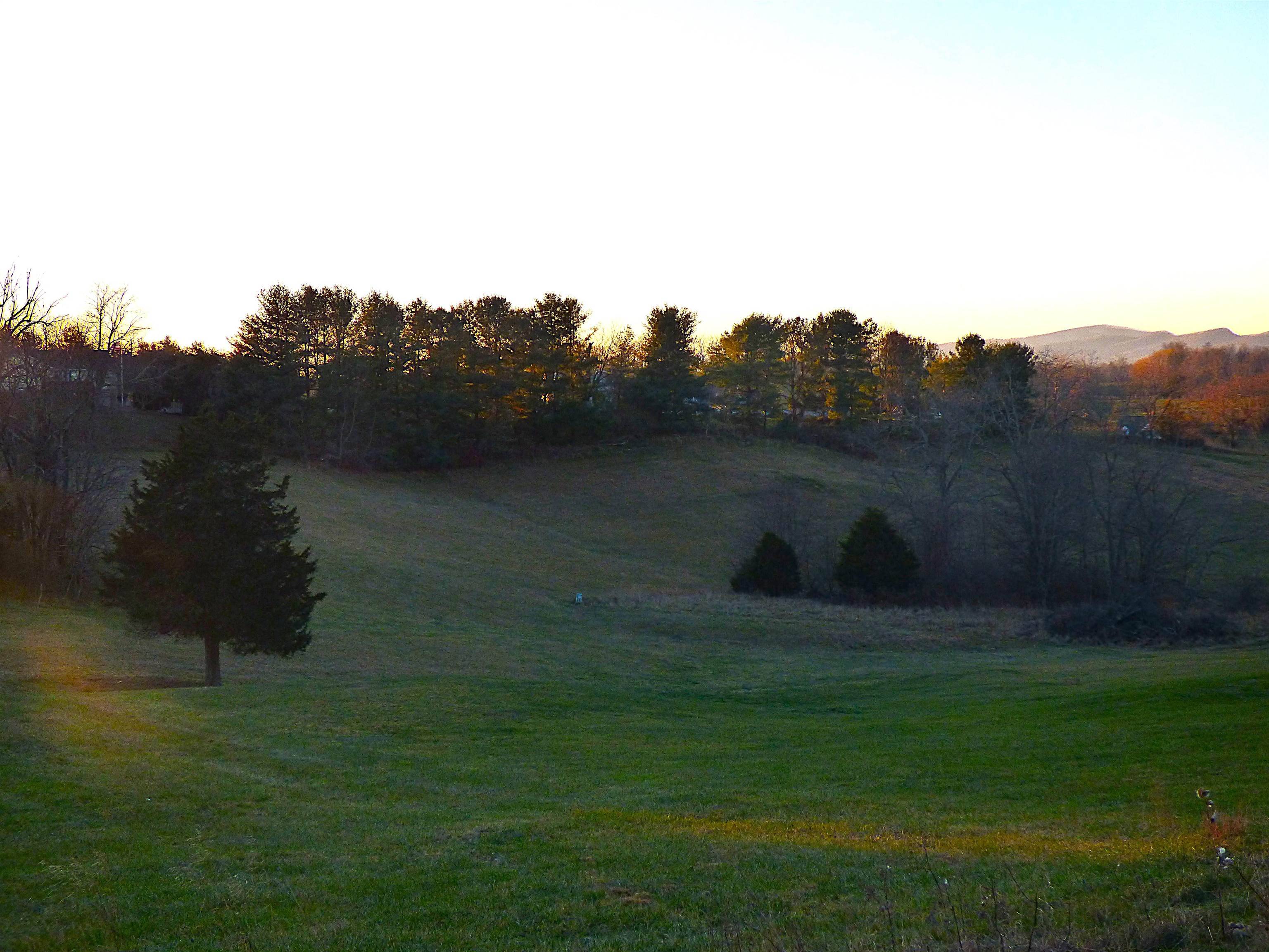 Wytheville, VA 24382,tbd Lot 14 Asbury LN