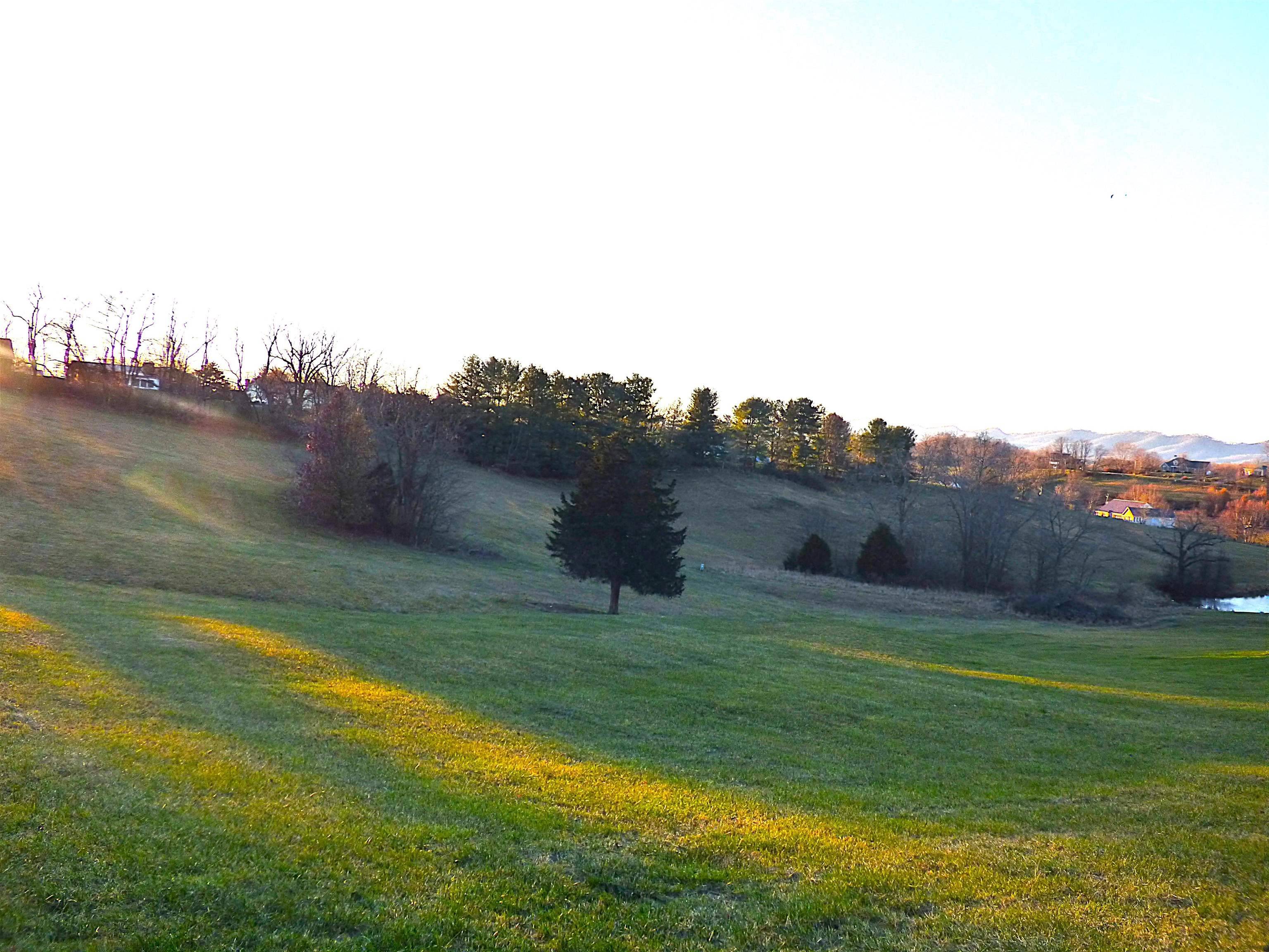 Wytheville, VA 24382,tbd Lot 19 Asbury LN