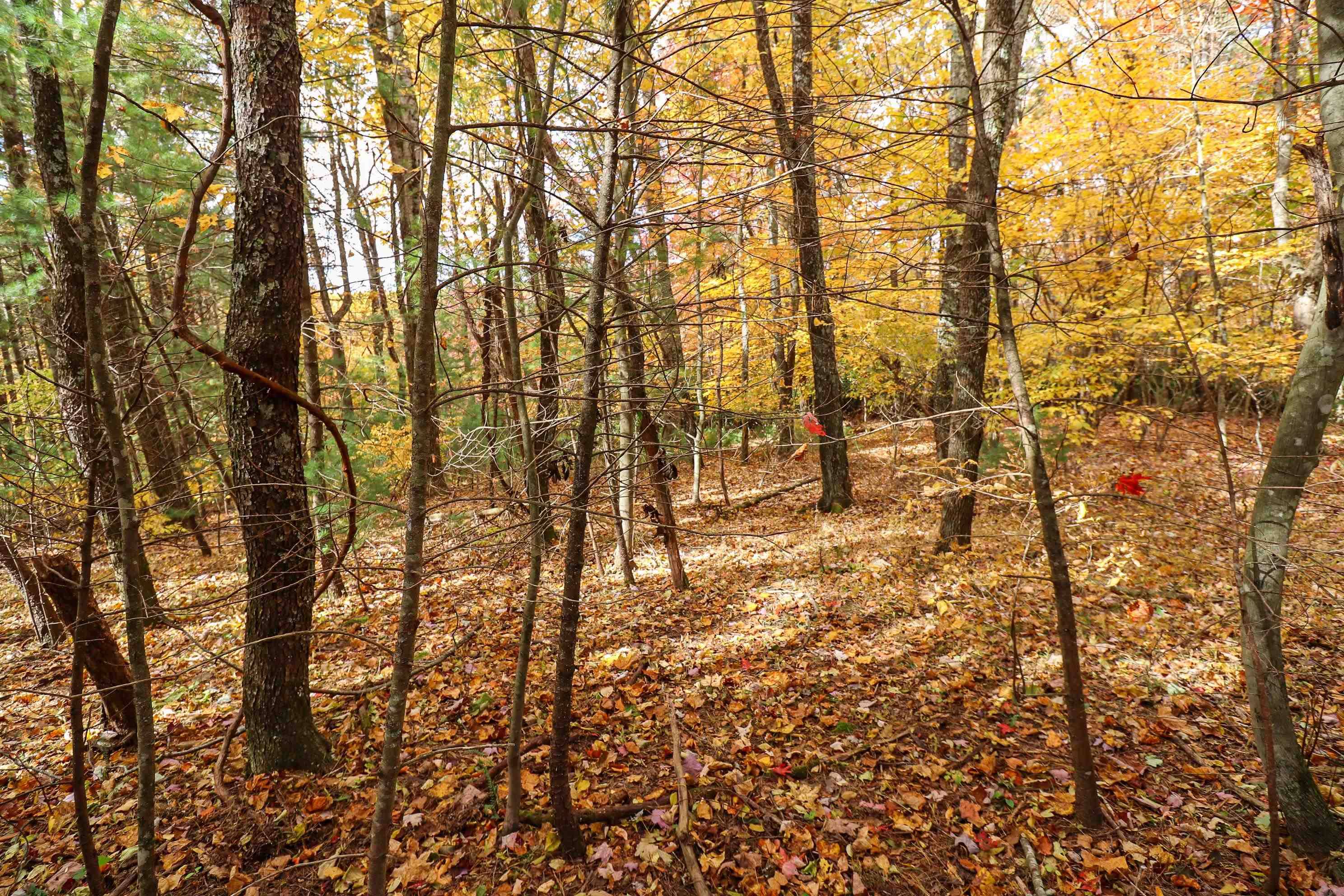 Fancy Gap, VA 24328,Lot 116 Old Hollow RD