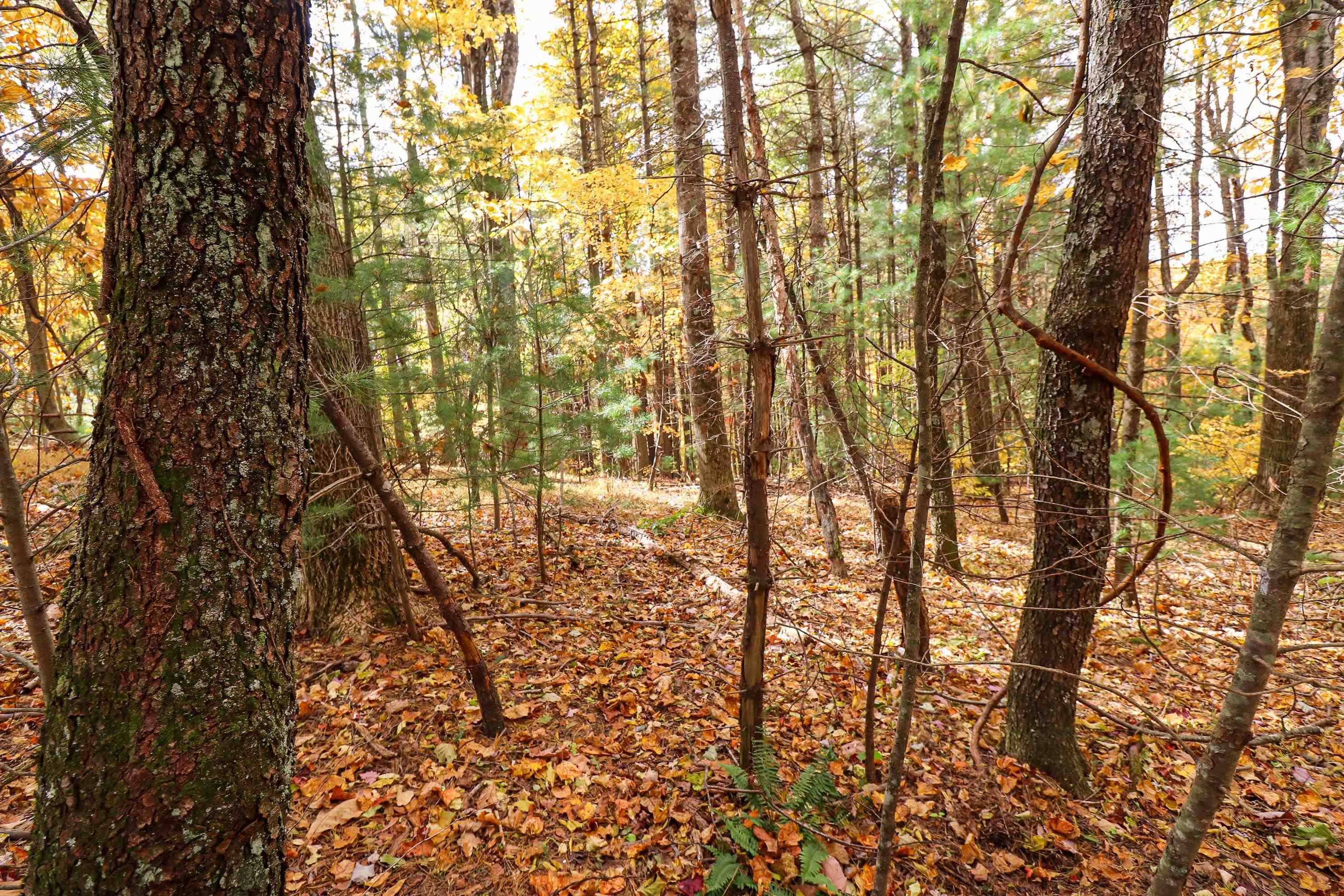 Fancy Gap, VA 24328,Lot 116 Old Hollow RD