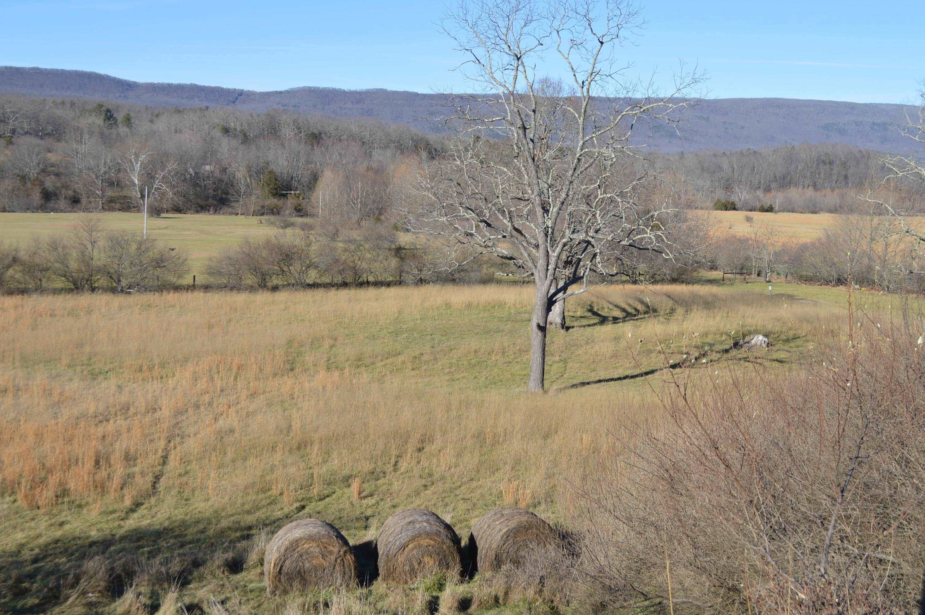 New Castle, VA 24127,0015 Johns Creek Mountain RD